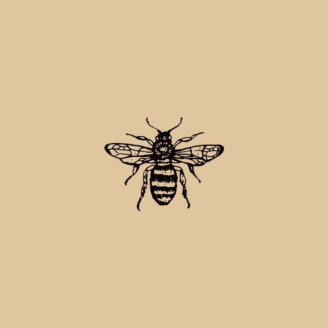 Aesthetic Bee 桌布 壁紙 — 一幅詳細的黑色墨水插圖，蜜蜂居中於純米色背景上。