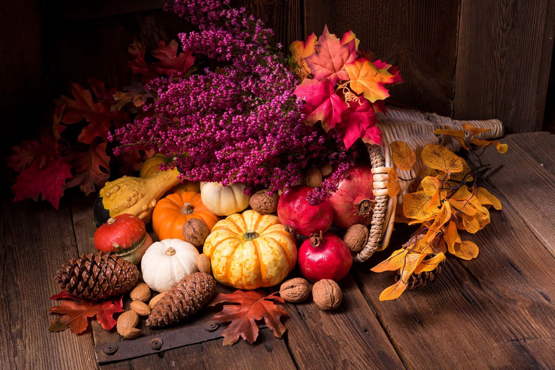 Fall Cornucopia 桌布 壁紙 — 一幅質樸的秋日靜物畫，南瓜、石榴、松果和鮮豔的秋葉從編織籃子中溢出，散落在風化的木頭上。