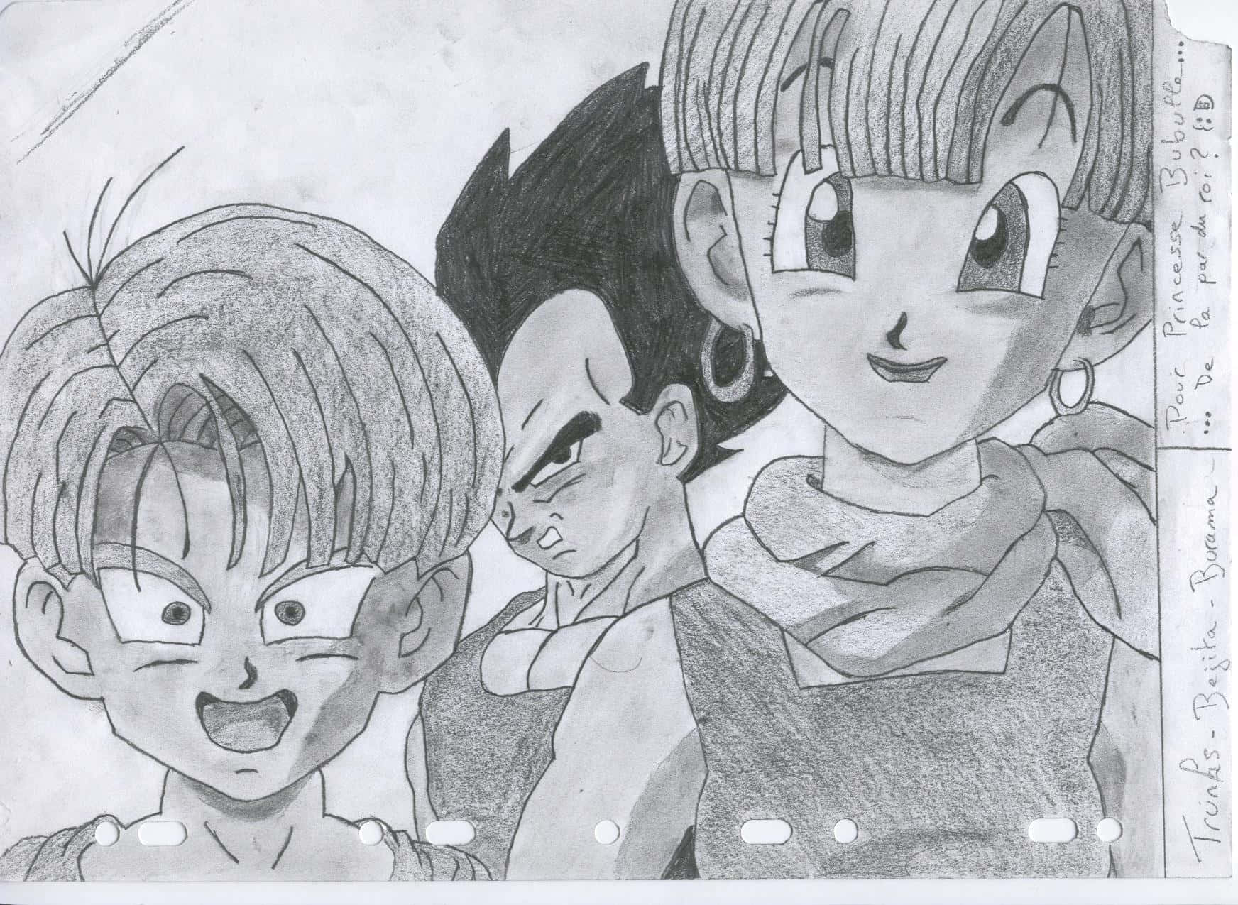Vegeta's Family 桌布 壁紙 — 一幅鉛筆素描，描繪三個龍珠角色——杜拉格斯、布瑪和比達——表情豐富，陰影細緻。