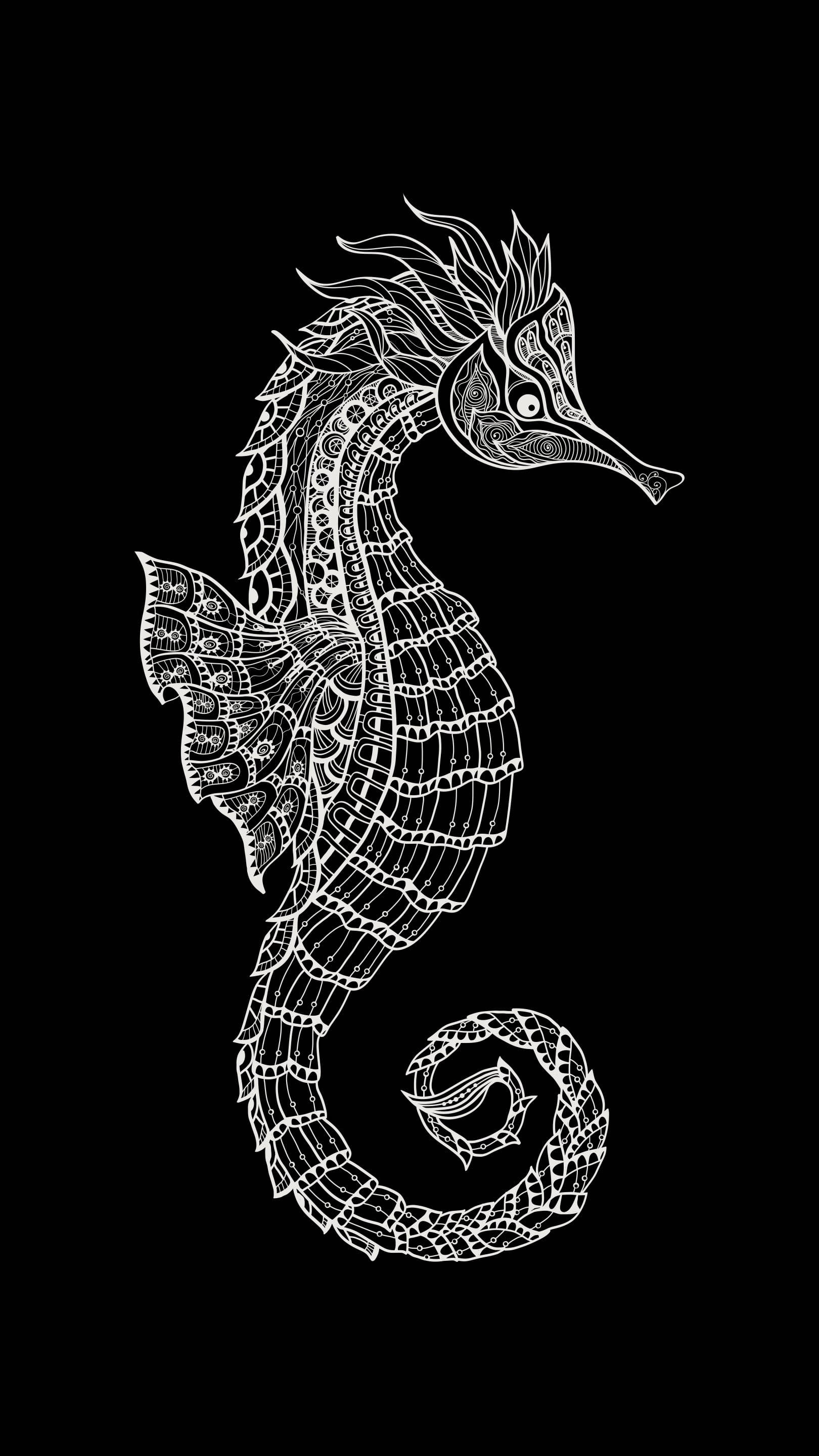 Seahorse 桌布 壁紙 — 一幅高度詳細的白色線條畫，描繪了一隻帶有複雜圖案的海馬，背景為純黑色。