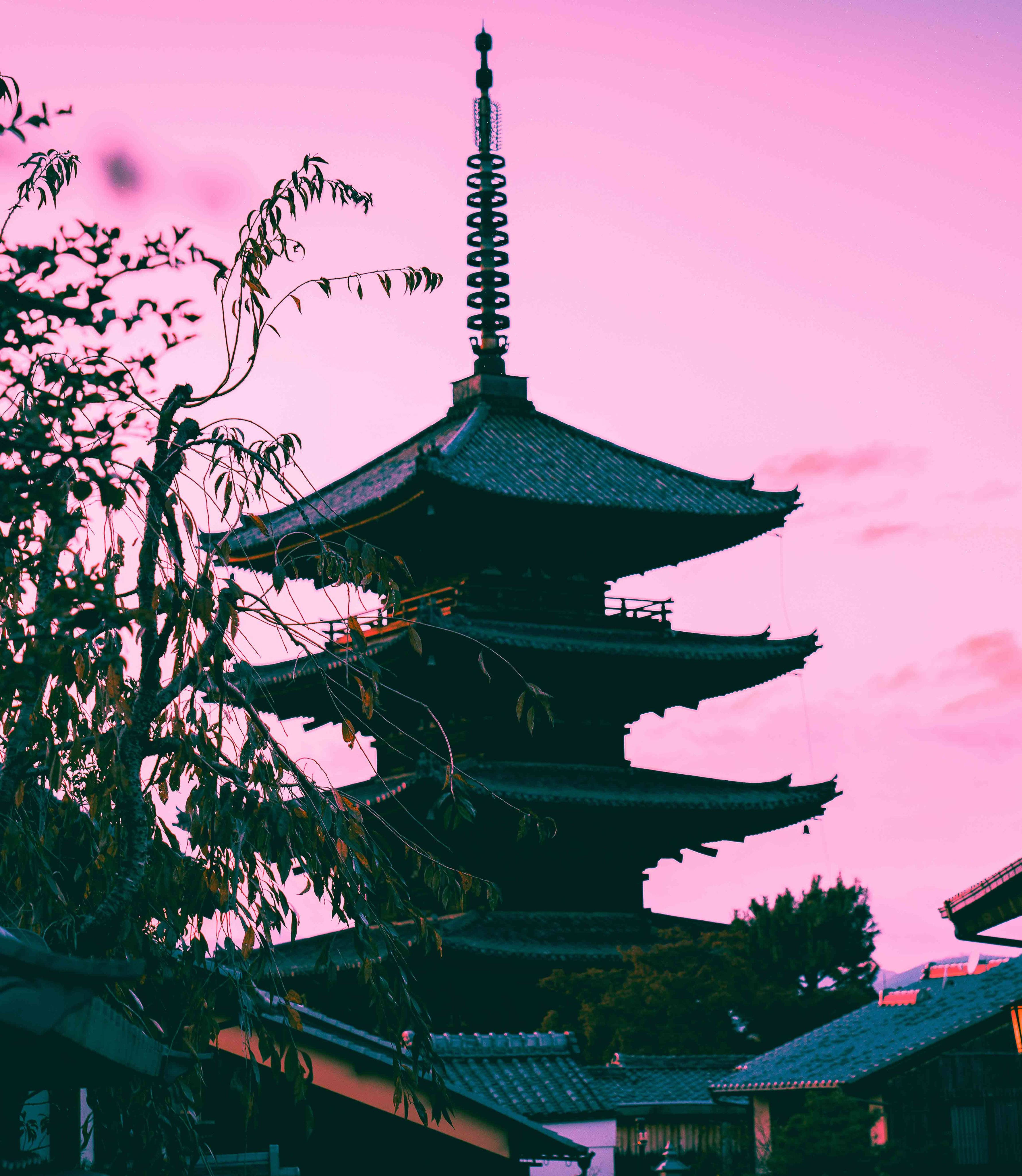 japanese aesthetic iPhone 桌布 壁紙 — 一座傳統日本寶塔在充滿活力的粉紅色暮色天空下形成剪影，樹枝框住前景。