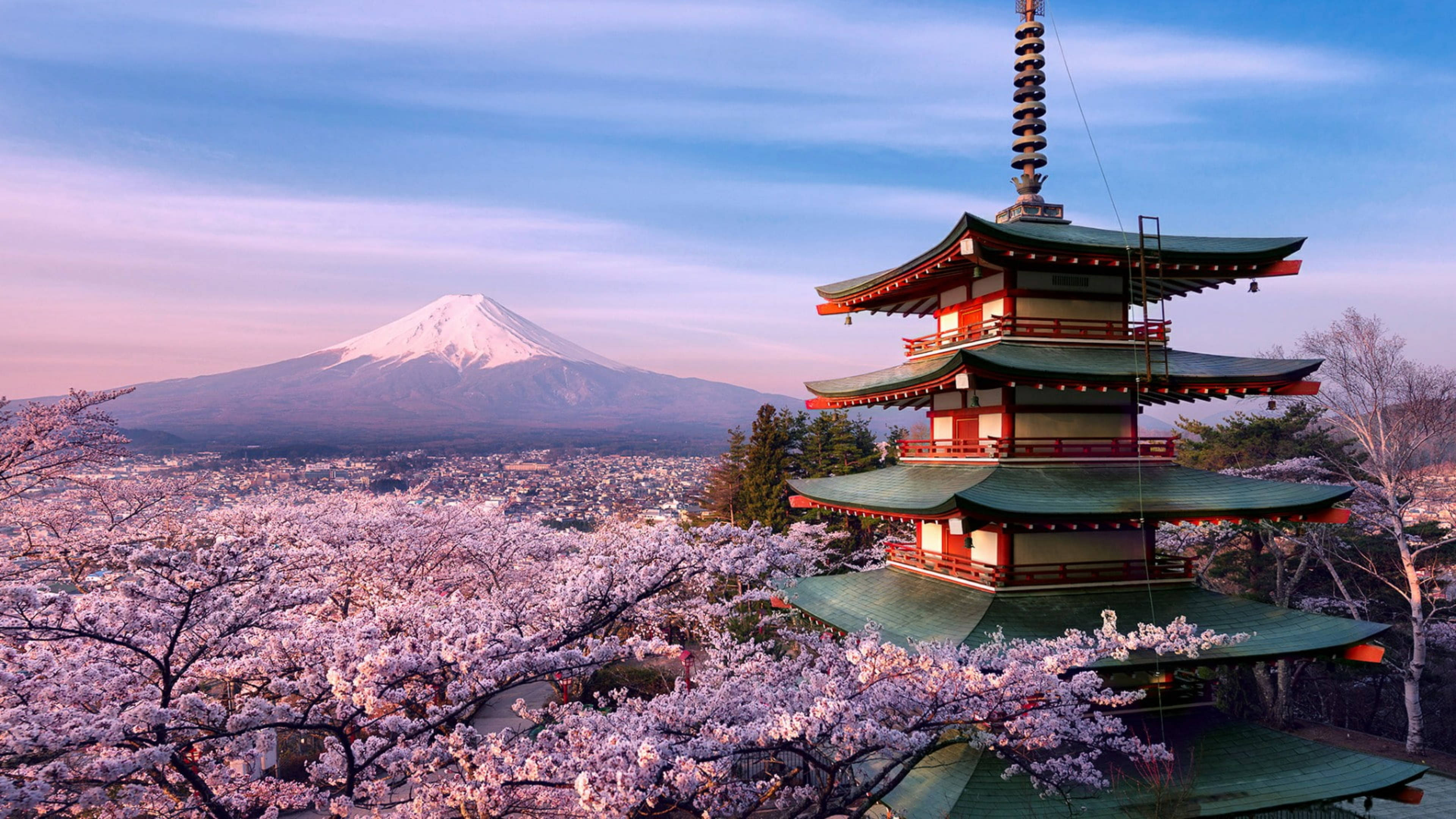 japanese sakura 桌布 壁紙 — 一座傳統日本寶塔矗立在盛開的櫻花之中，背景是夕陽下積雪的富士山。