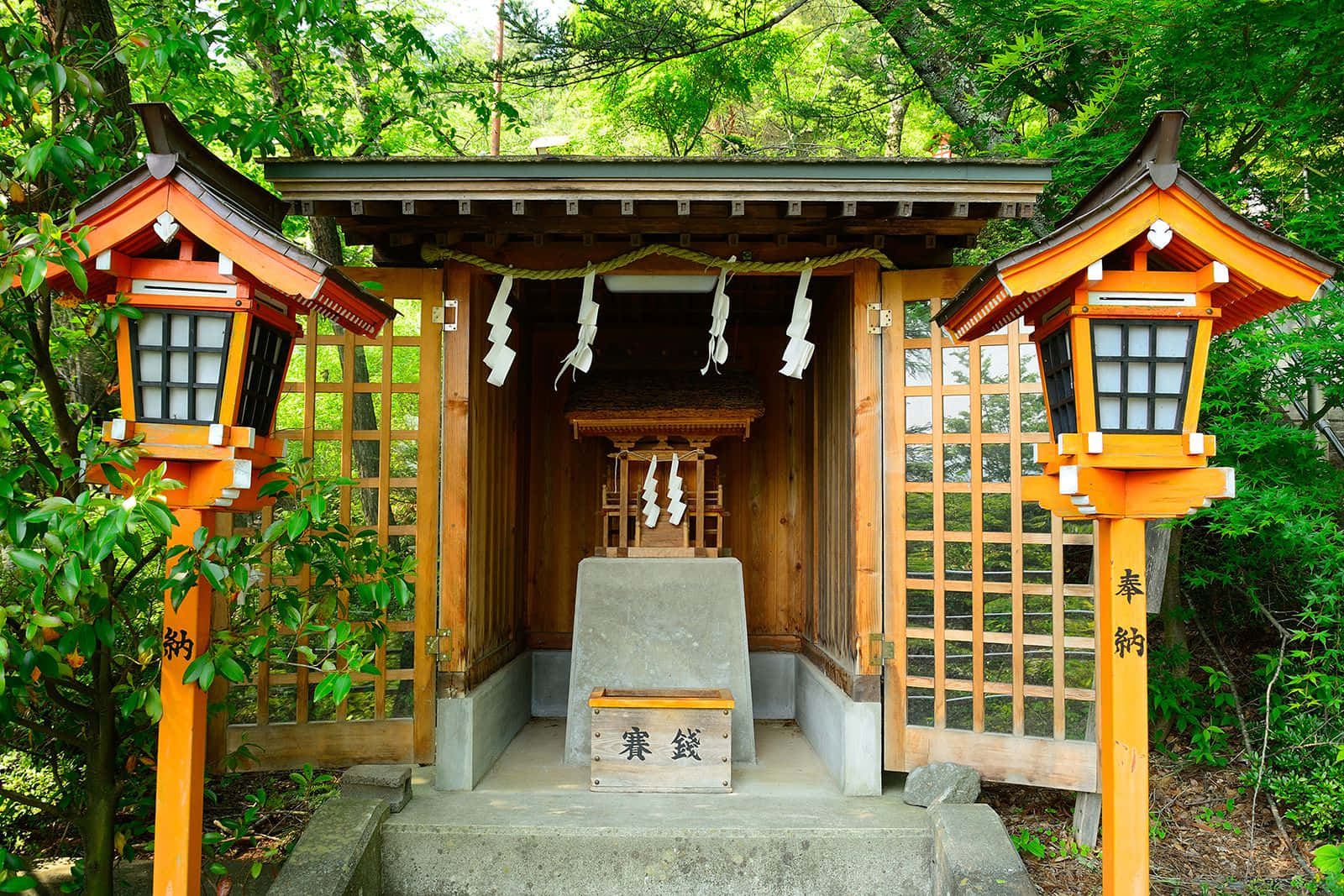 Shinto 桌布 壁紙 — 一座傳統日本神社，隱藏在茂密綠植中，鮮豔的橙色燈籠排列在木製入口兩側。