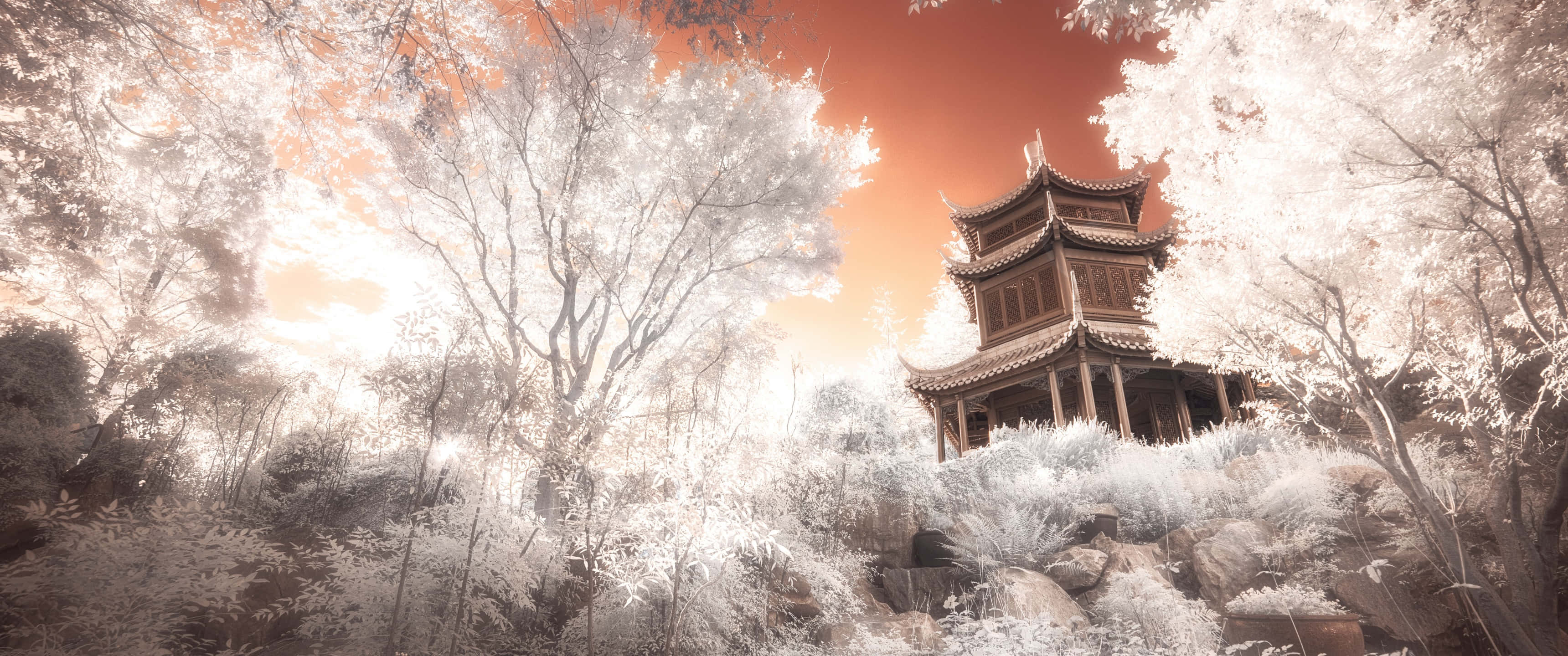 Feudal Japan 桌布 壁紙 — 一座傳統木造寶塔在溫暖的橙色天空下，於發光的白色樹木中寧靜地矗立。