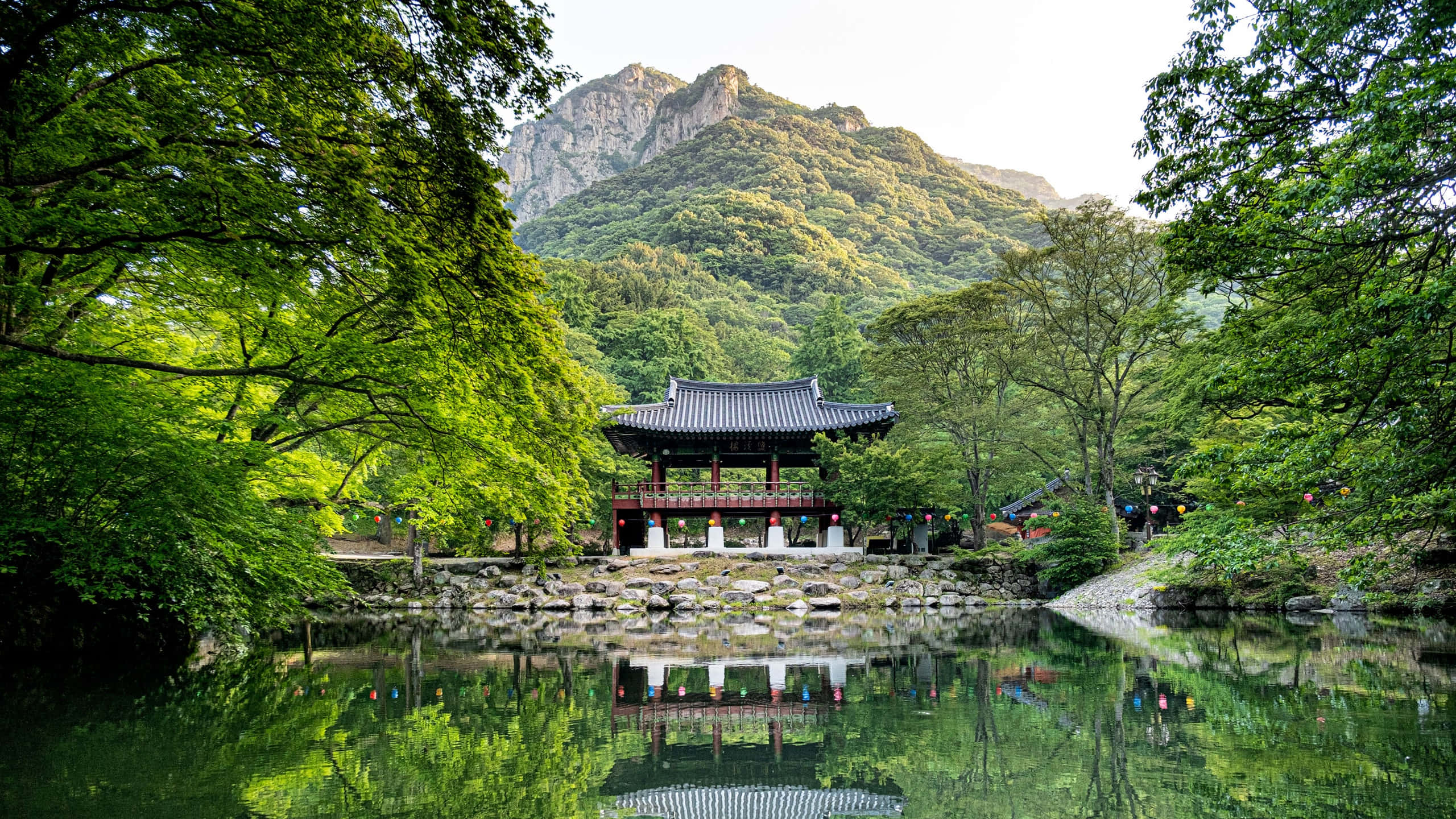 South Korea 桌布 壁紙 — 一座傳統韓國亭閣寧靜地坐落在平靜的池塘邊，池塘倒映著茂密的綠樹和森林覆蓋的山脈，在柔和的光線下。
