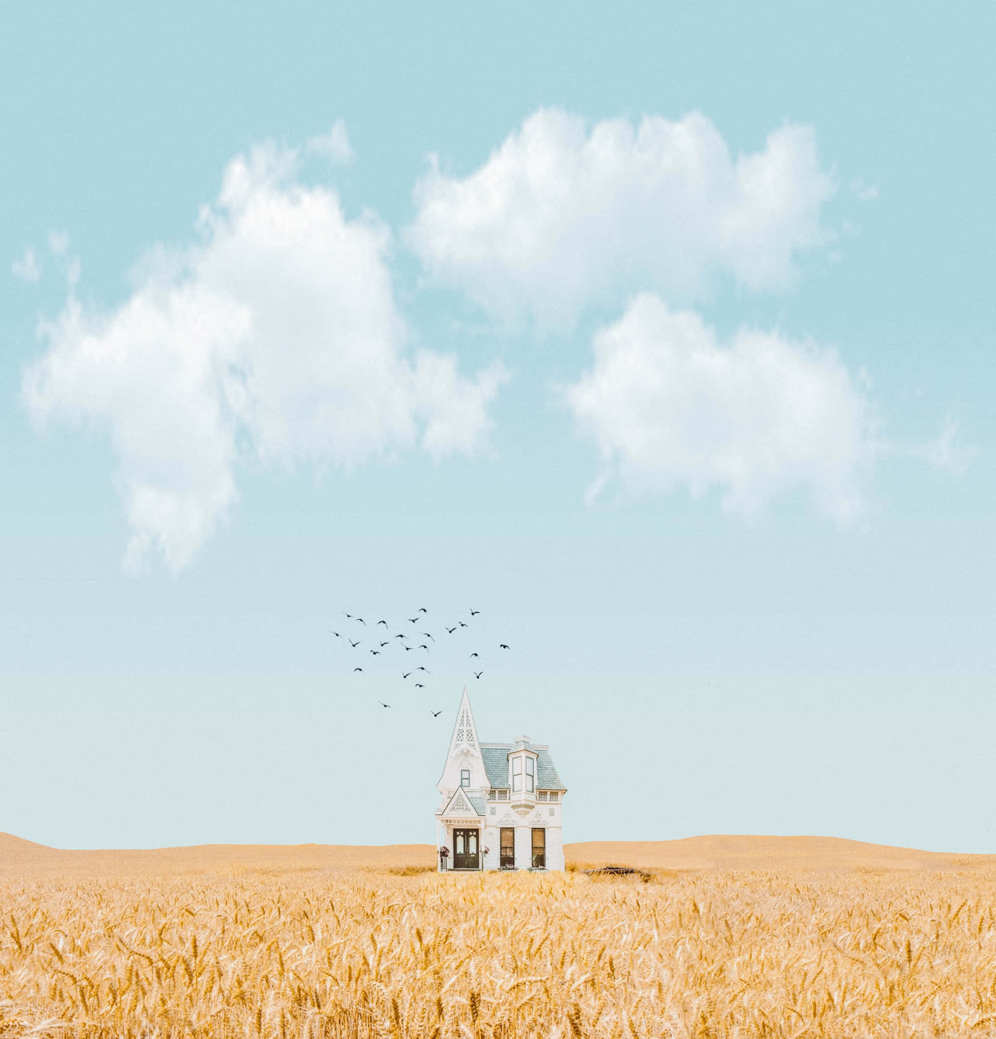Minimalism 桌布 壁紙 — 一座孤獨的白色維多利亞式房屋矗立在廣闊的金色麥田中，淡藍色的天空上有蓬鬆的雲朵和一群鳥兒飛過。
