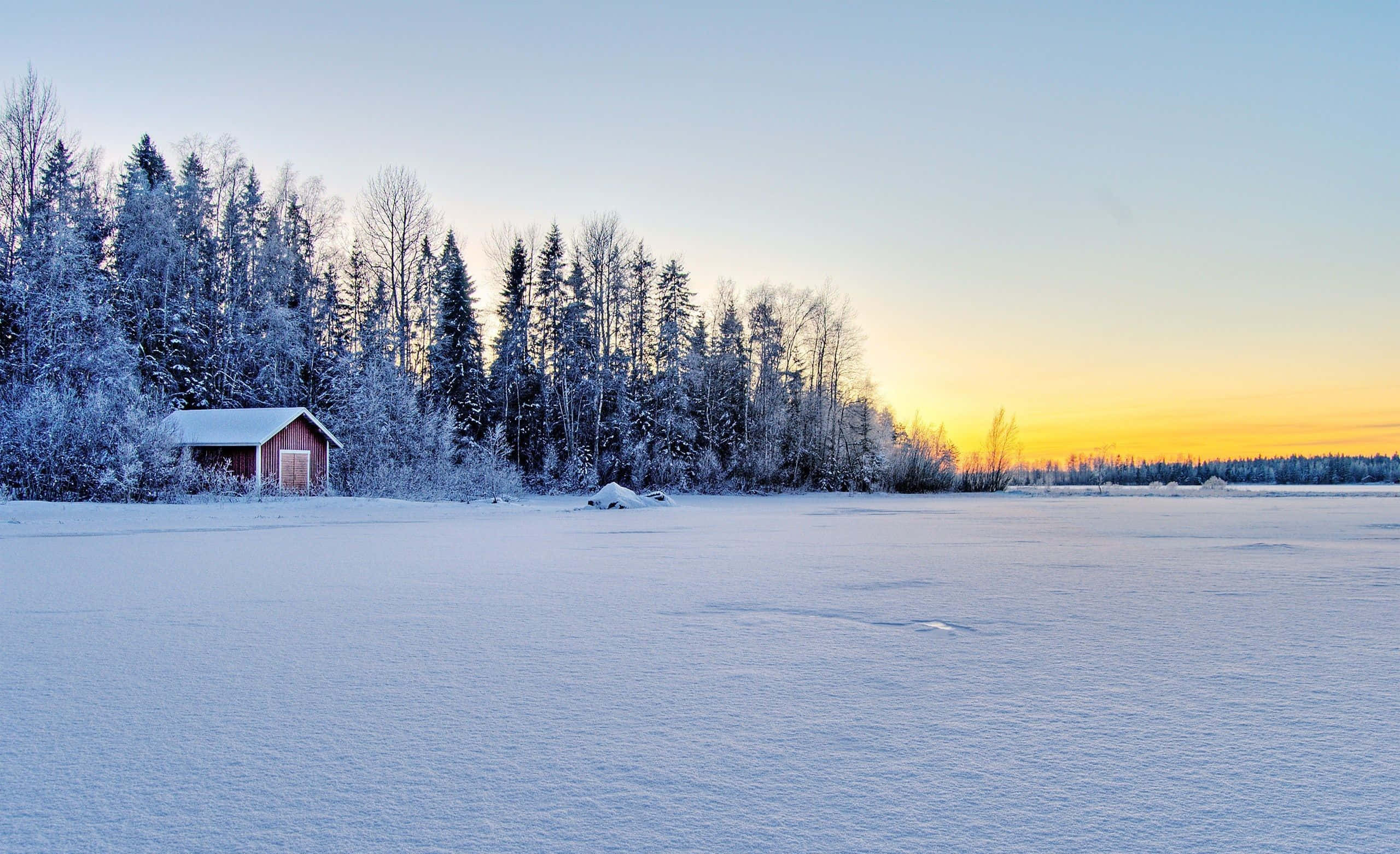 Frozen Lake 桌布 壁紙 — 一座孤獨的紅色小屋坐落在白雪覆蓋的松樹林中，夕陽映照在結冰的湖面上。