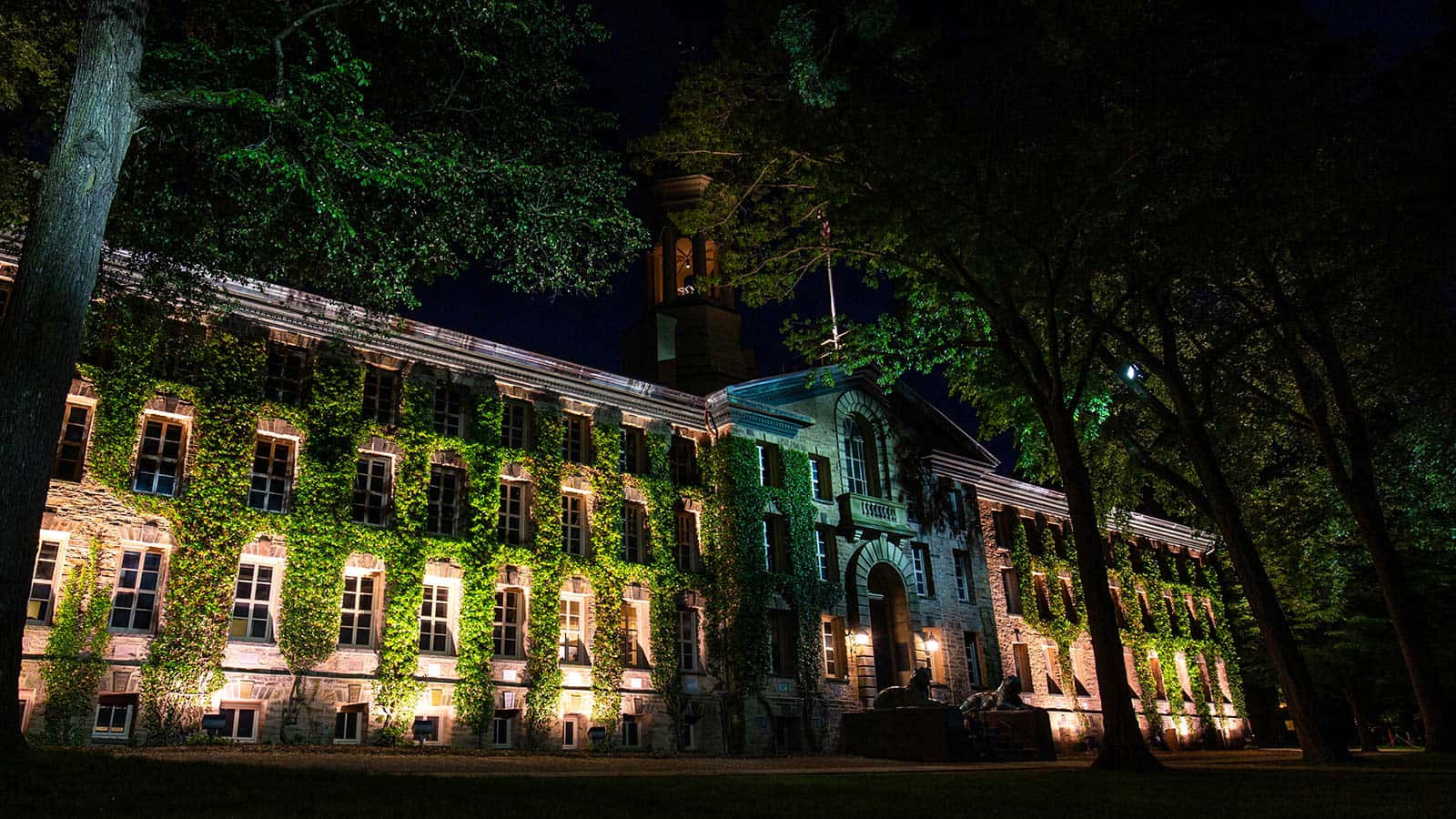 Dark Academia Aesthetic 桌布 壁紙 — 一座宏偉的石建築被發光的常春藤覆蓋，在夜晚被照亮，周圍是高聳的樹木，襯托著黑暗的天空。