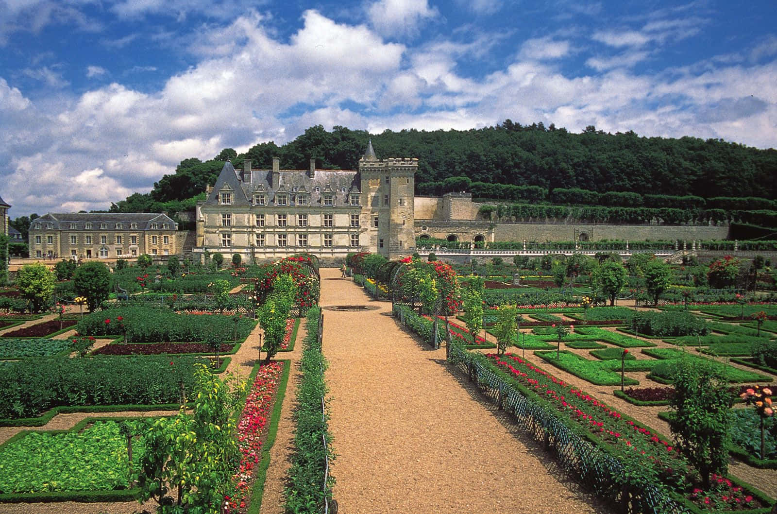 french 桌布 壁紙 — 一座宏偉的石砌城堡俯瞰著精心修剪的花園，園內有幾何形狀的樹籬和色彩繽紛的花壇，上方是藍天白雲。