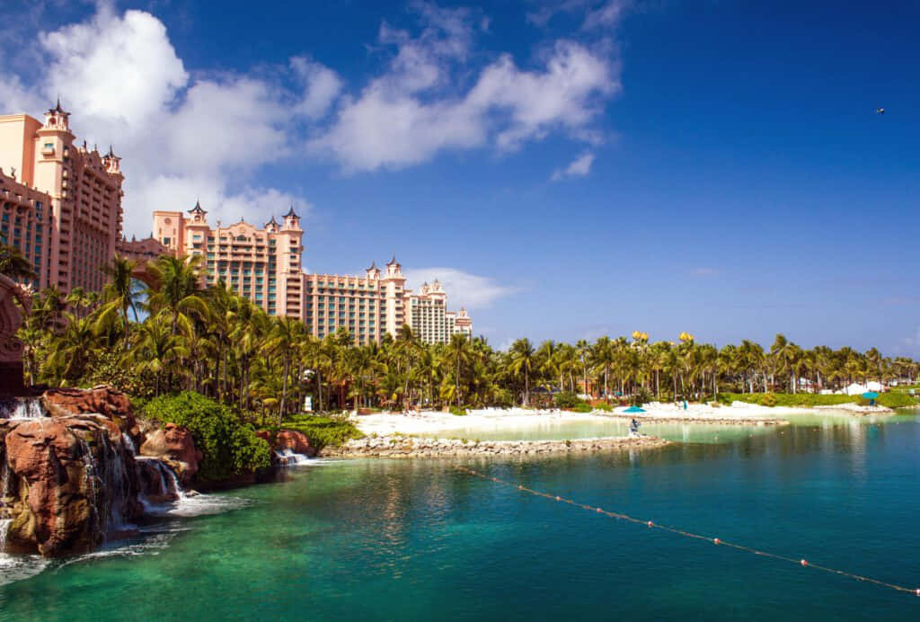 Bahamas Island 桌布 壁紙 — 一座宏偉的粉紅色度假酒店聳立在茂密的棕櫚樹後，旁邊是碧綠色的潟湖，有岩石瀑布和白色沙灘，在明亮的藍天下。