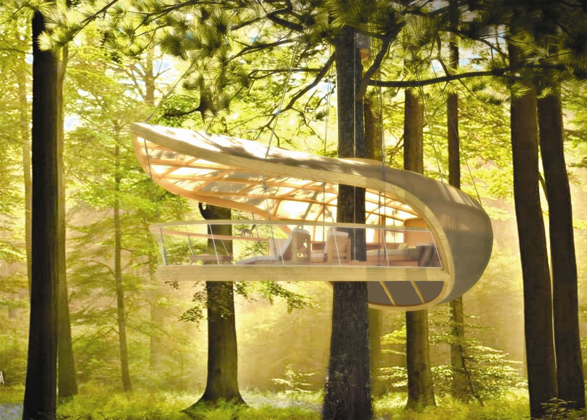 Beautiful Architecture 桌布 壁紙 — 一座時尚彎曲的樹屋懸掛在高聳的松樹之間，沐浴在透過茂密樹葉過濾的金色陽光中。