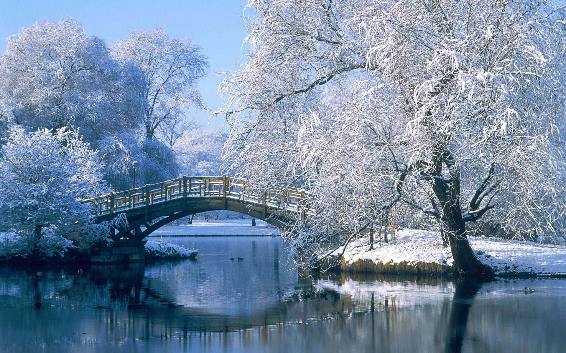 Snowy Landscape 桌布 壁紙 — 一座木拱橋橫跨在平靜的河流上，周圍是白雪覆蓋的樹木，天空清澈湛藍。