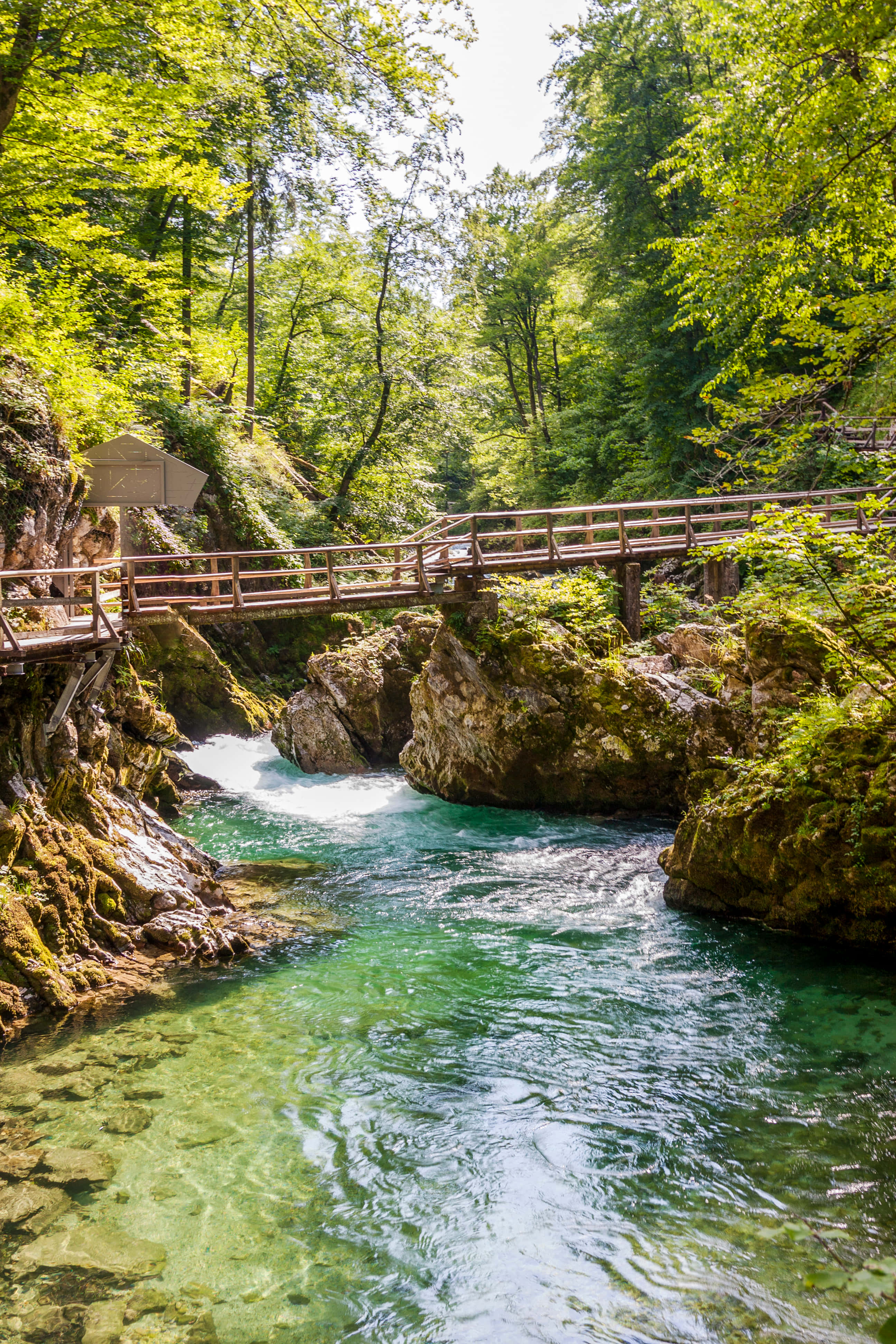 Nature Scenery 桌布 壁紙 — 一座木橋橫跨一條清澈碧綠的河流，河流穿過鬱鬱蔥蔥的森林峽谷。