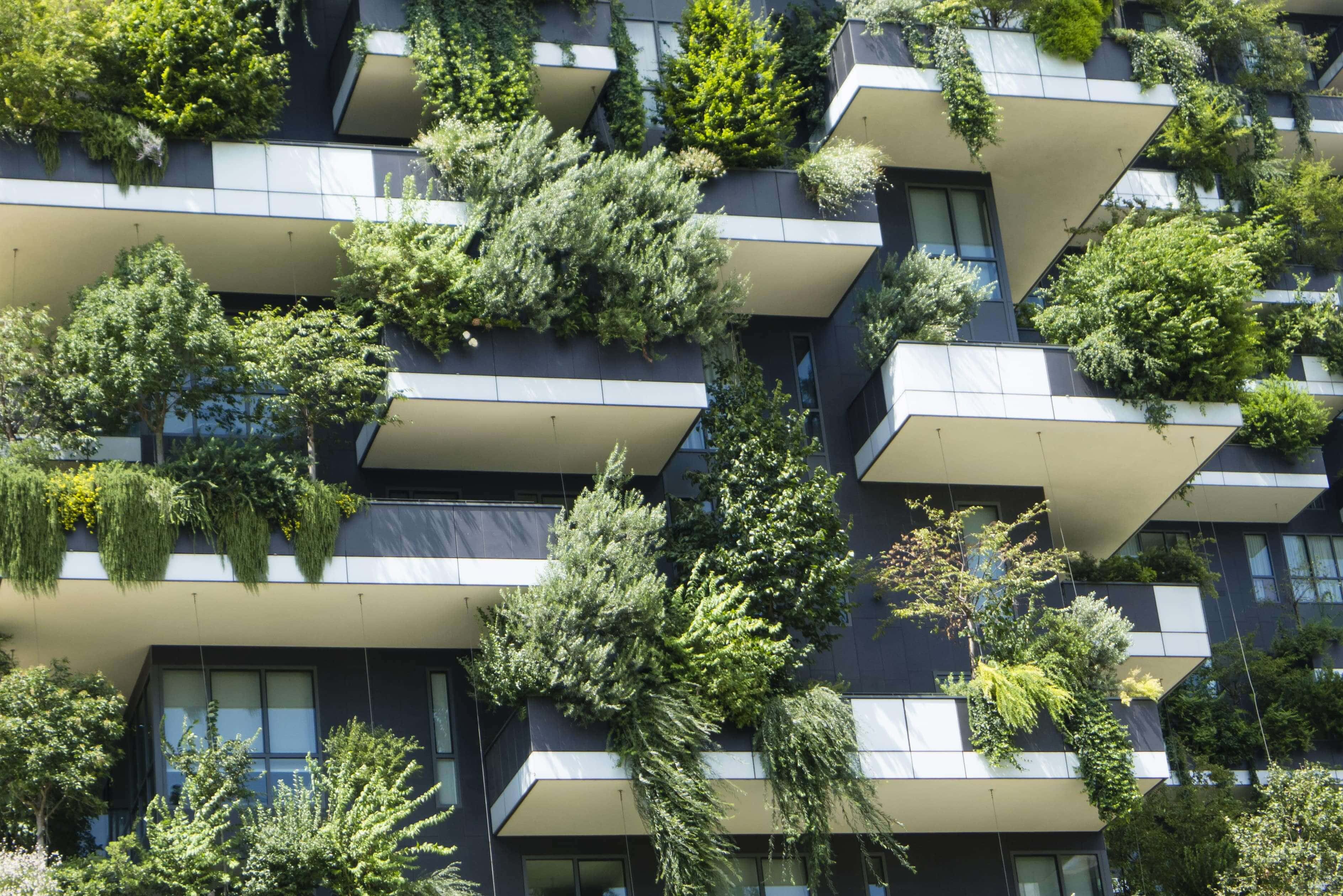 Green Buildings 桌布 壁紙 — 一座現代建築的外牆被茂密的綠色植物覆蓋，每個陽台上都有層疊的樹木和灌木在明亮的日光下茁壯成長。