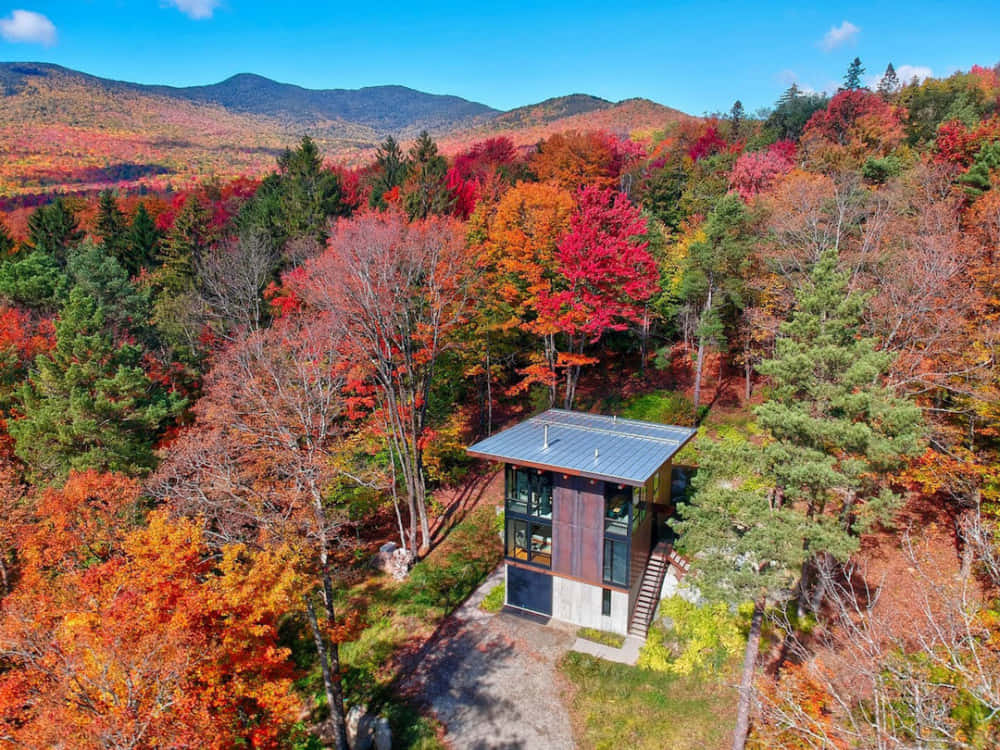 Fall Cabin 桌布 壁紙 — 一座現代玻璃小屋坐落在充滿活力的秋日森林中，背景是山脈，天空清澈湛藍。