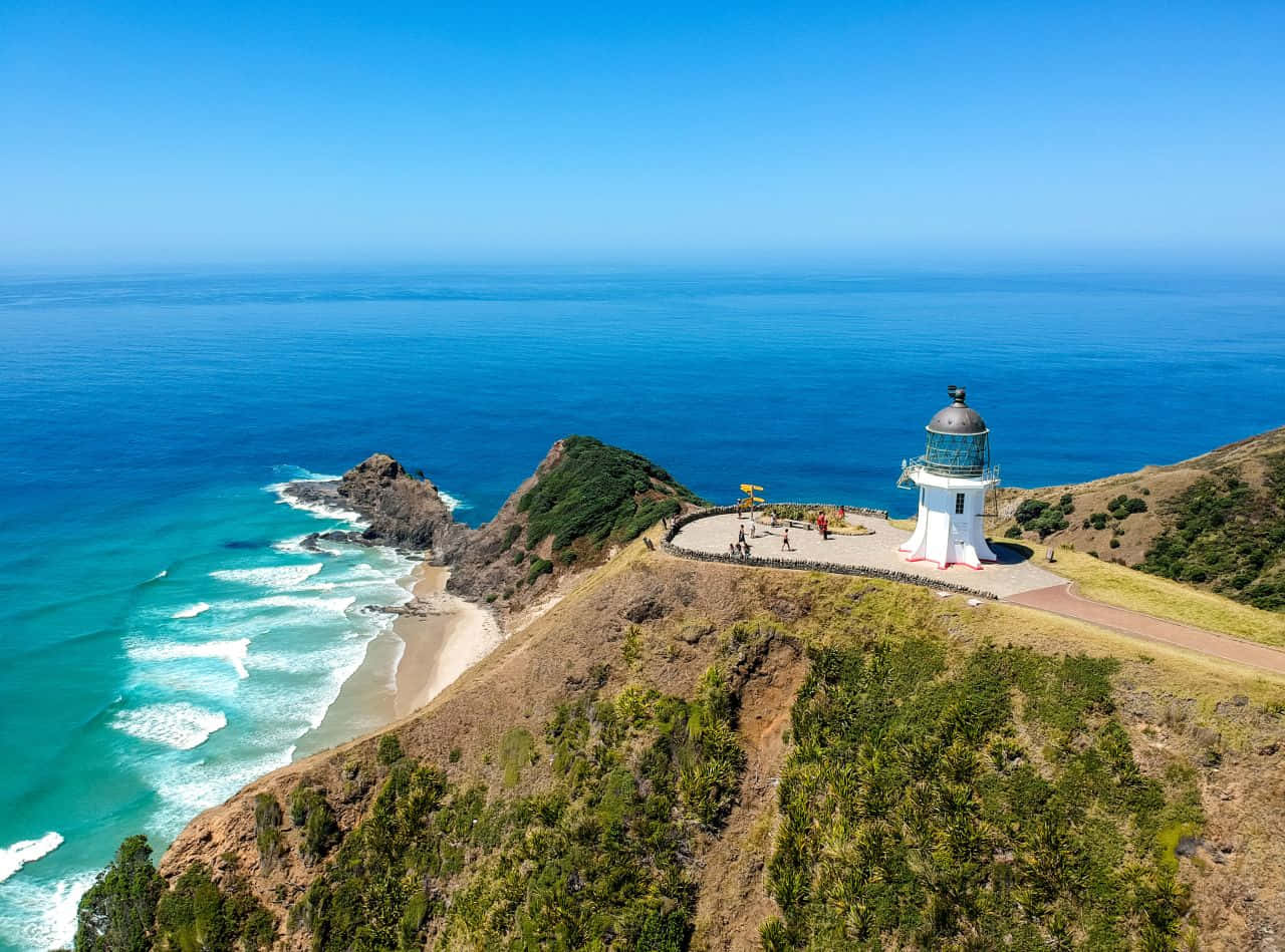New Zealand 桌布 壁紙 — 一座白色燈塔矗立在陽光普照的懸崖上，俯瞰著下方碧綠的海浪和沙灘。