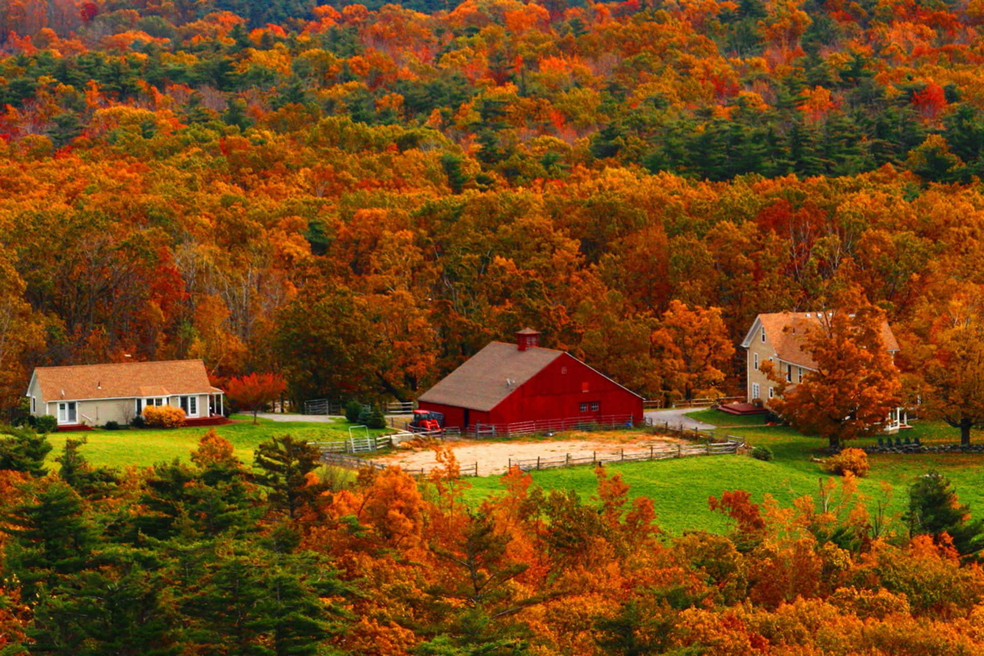 Fall Farmhouse 桌布 壁紙 — 一座紅色穀倉和農舍坐落在充滿活力的秋日森林中，周圍是火紅的橙色和綠色樹葉。