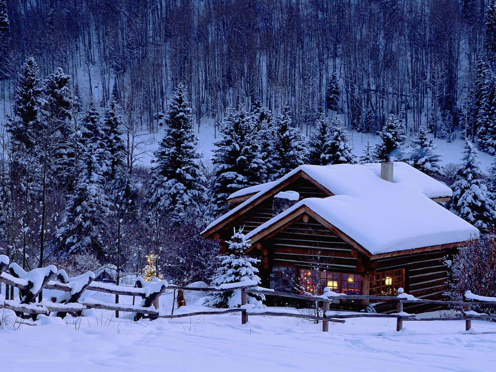 Winter Scene 桌布 壁紙 — 一座舒適的雪覆蓋木屋坐落在冬季森林中，窗戶透出溫暖的燈光。