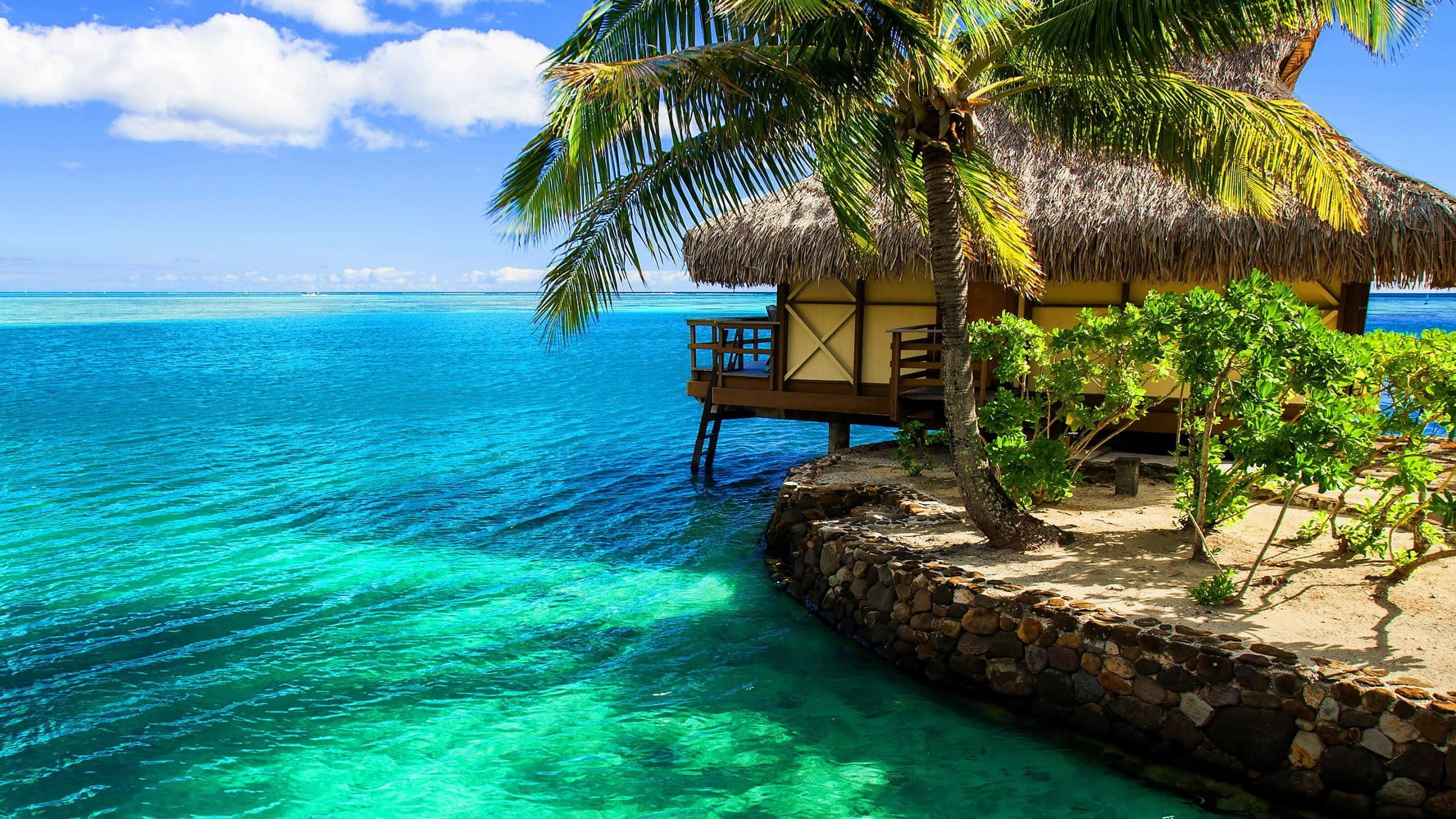 Beach Resort 桌布 壁紙 — 一座茅草屋頂的水上平房，坐落於熱帶島嶼，四周是碧綠的海水和棕櫚樹，頭頂是明亮的藍天。