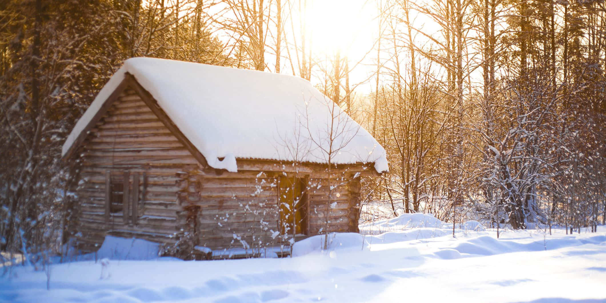 Cozy Winter Cabin 桌布 壁紙 — 一座被白雪覆蓋的質樸木屋，在金色陽光穿過冬日禿枝時散發溫暖光芒。