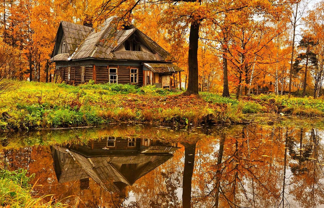 Fall Cabin 桌布 壁紙 — 一座質樸的木屋坐落在秋日樹林中，完美倒映在被金色樹葉環繞的平靜池塘中。