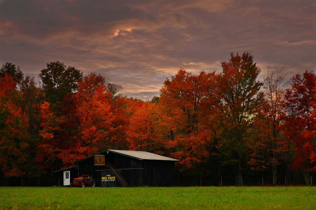 Fall Country 桌布 壁紙 — 一座質樸的穀倉坐落在充滿活力的秋田中，火紅的樹木在昏暗的橙色天空下閃耀。