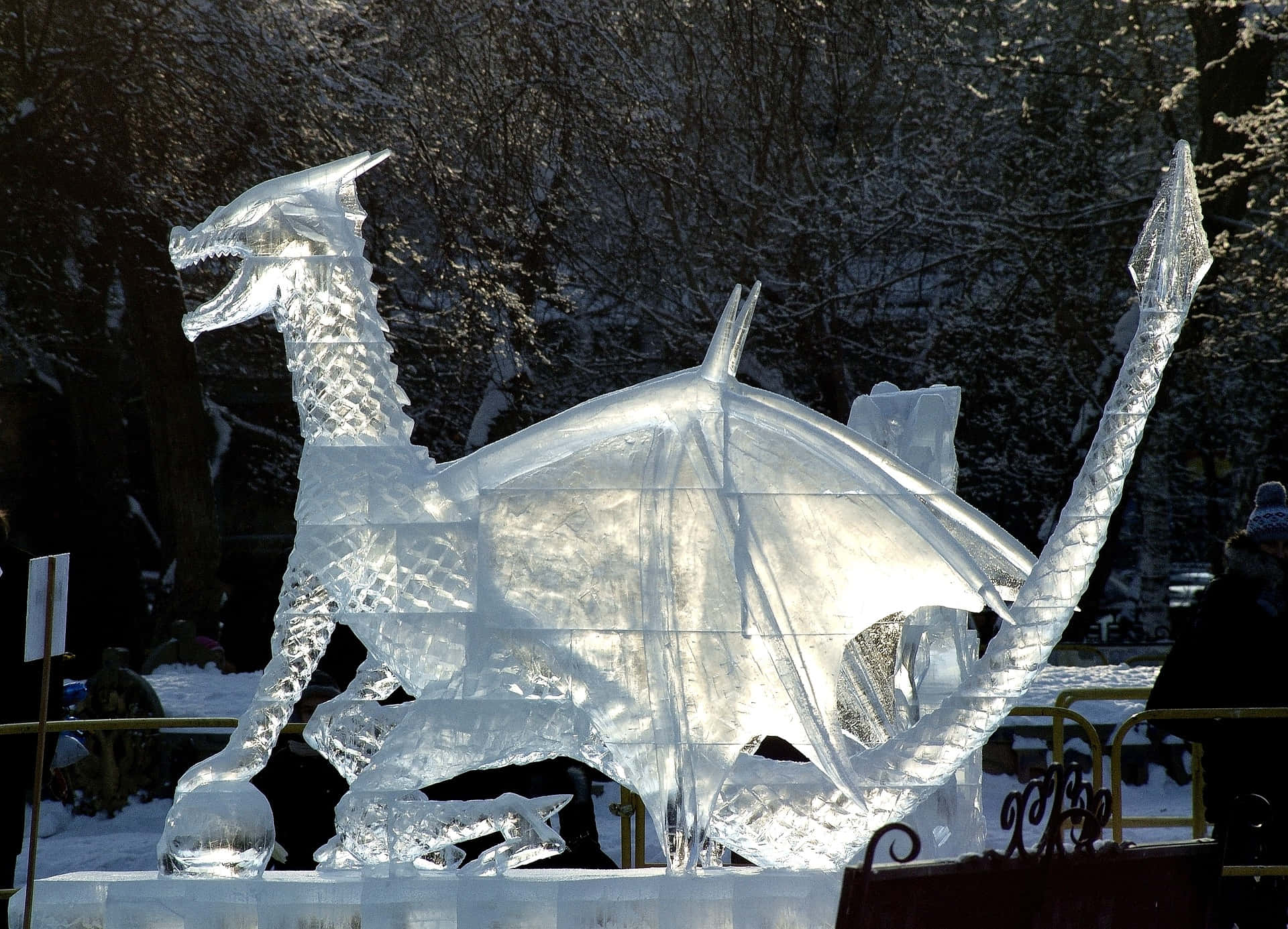 Ice Sculpture 桌布 壁紙 — 一座雄偉的冰龍雕塑在冬日陽光下閃閃發光，背景是白雪覆蓋的樹木。