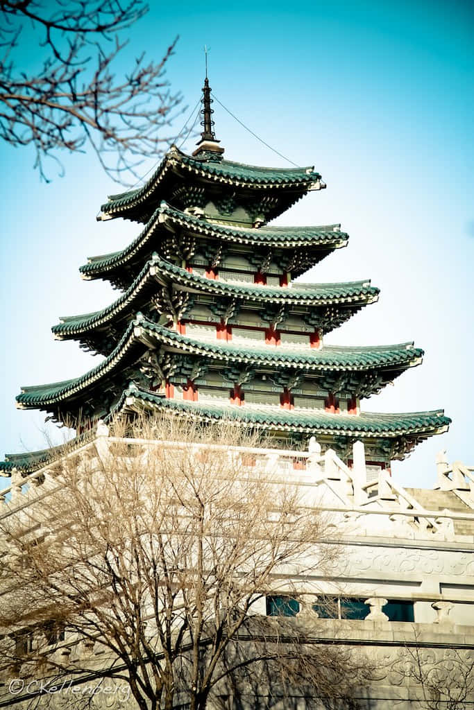 South Korea 桌布 壁紙 — 一座雄偉的多層寶塔，擁有綠色瓦頂和紅色點綴，在晴朗的藍天襯托下，周圍是光禿禿的冬季樹木。