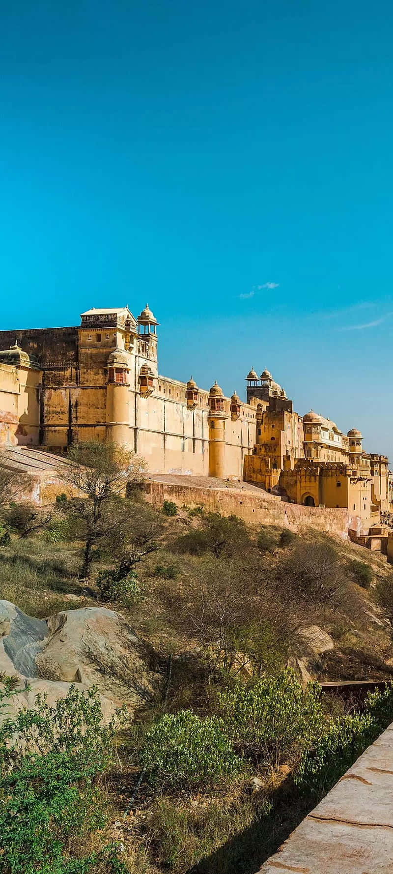 Rajasthan 桌布 壁紙 — 一座雄偉的金色堡壘矗立在岩石山頂上，藍天清澈，下方稀疏的綠意。