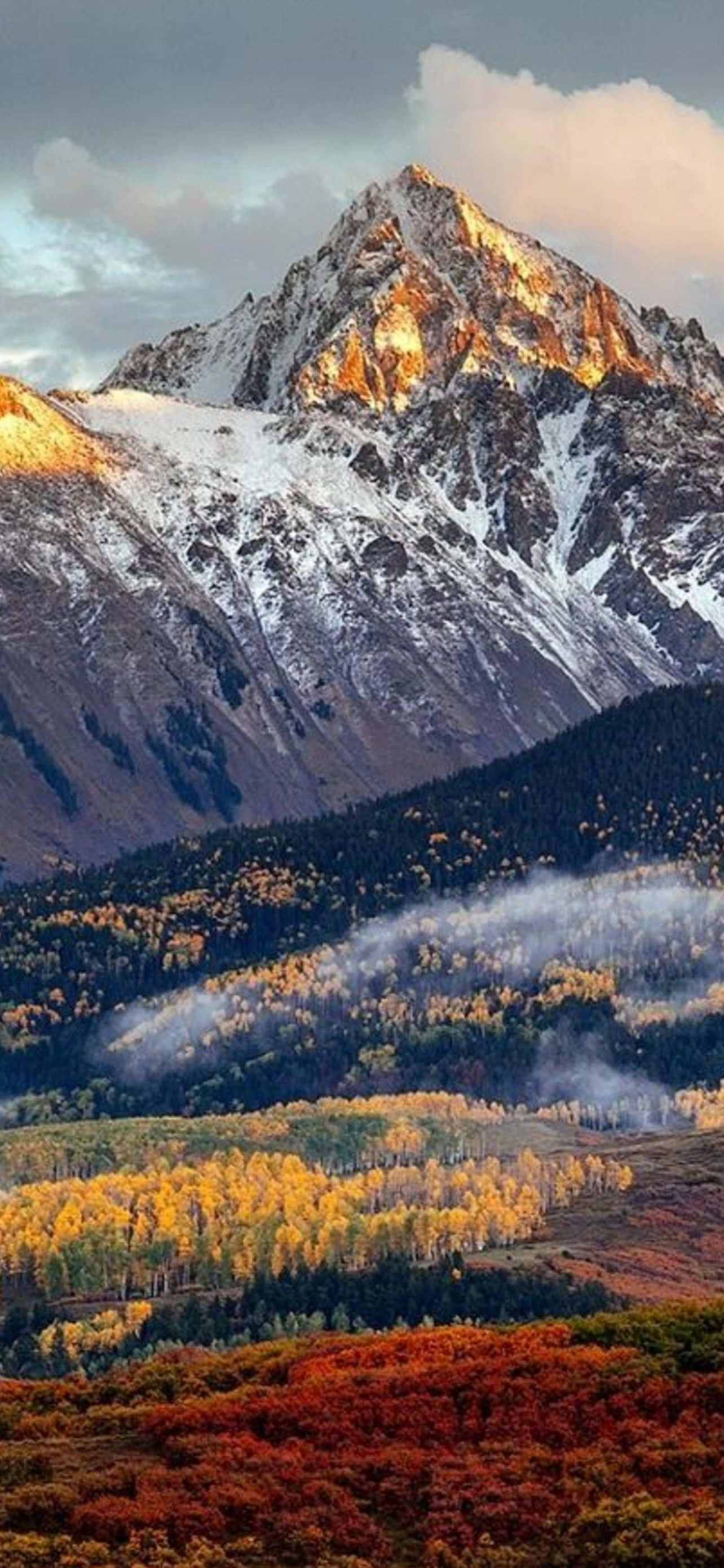 Mountain iPhone 桌布 壁紙 — 一座雄偉的雪山峰頂沐浴在金黃色的日出光芒中，聳立在充滿活力的秋日森林和霧氣繚繞的山谷之上。