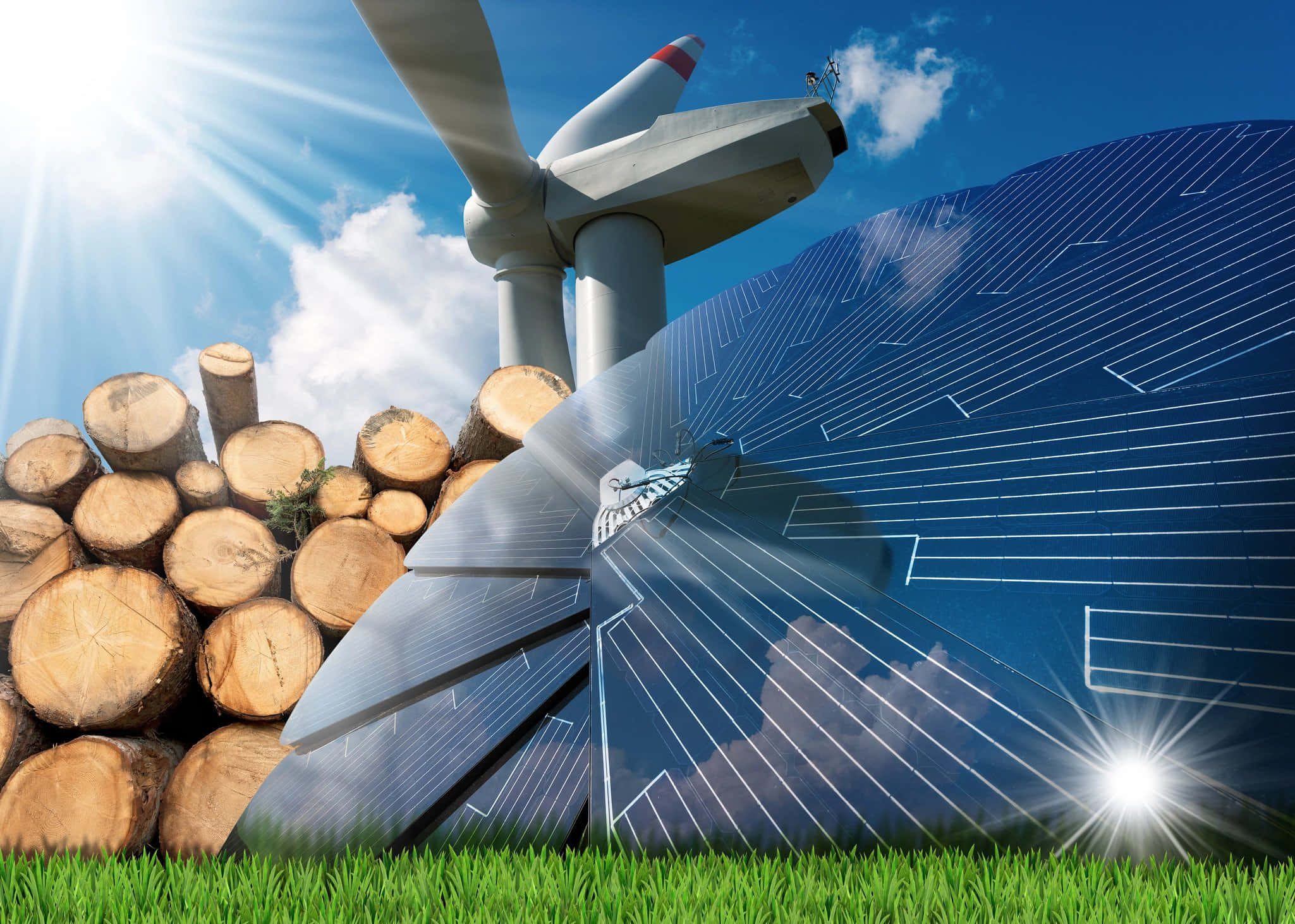 Energy 桌布 壁紙 — 一座風力渦輪機和太陽能板矗立在木堆旁，下方是明亮的陽光天空和綠草。