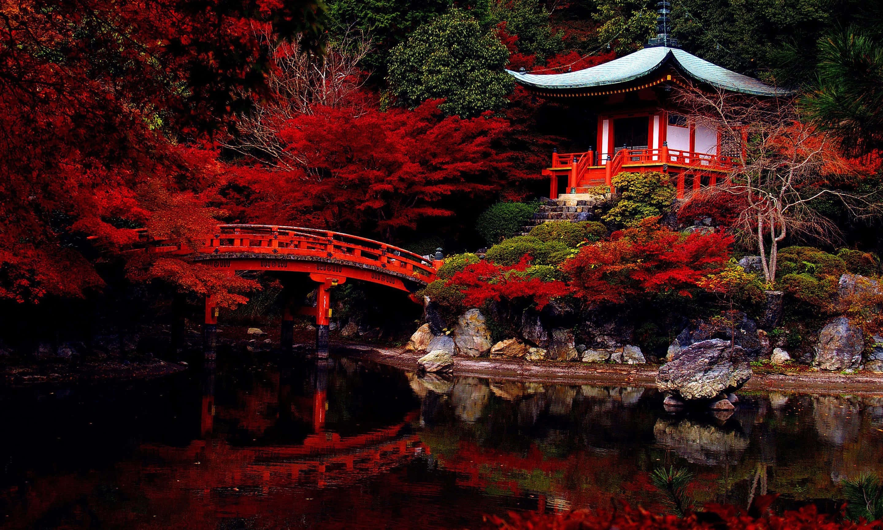 Samurai Garden 桌布 壁紙 — 一座鮮紅色的拱橋和傳統日本亭閣倒映在平靜的水面上，四周環繞著如火般的秋葉。