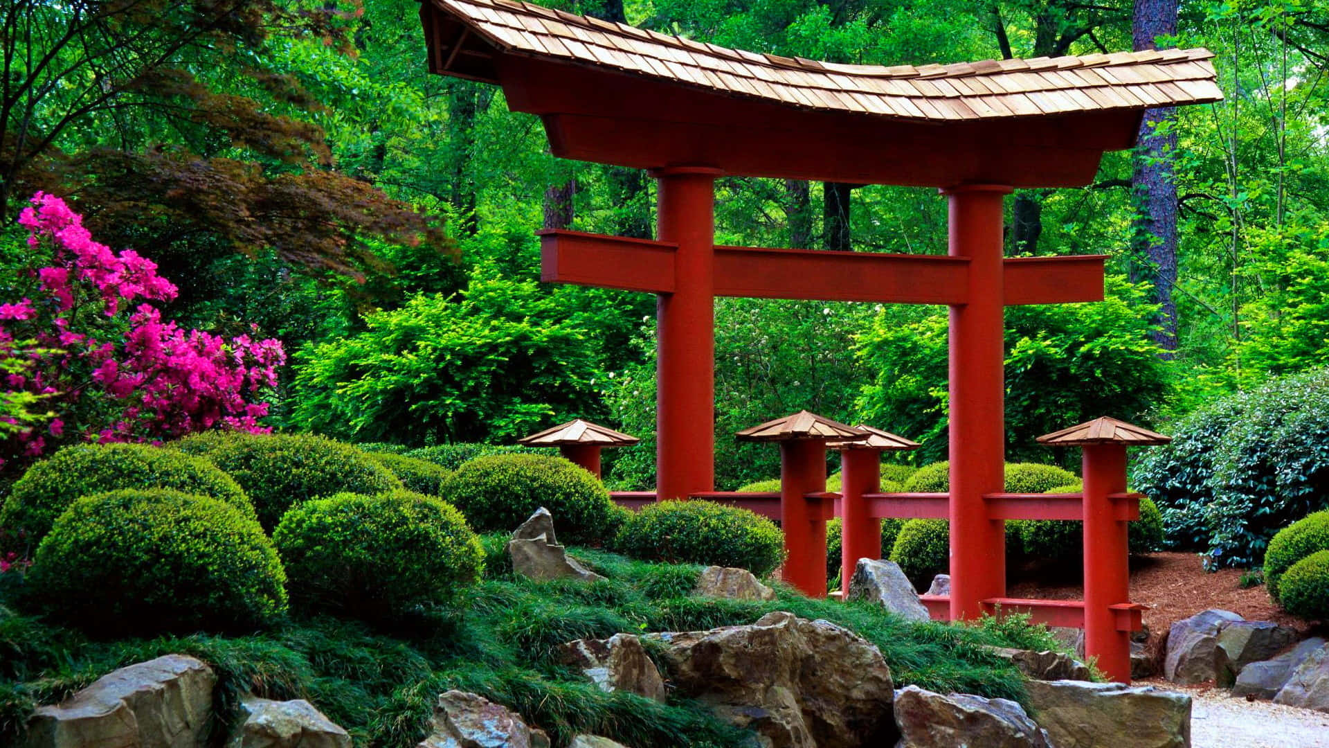 Feudal Japan 桌布 壁紙 — 一座鮮紅色的日本鳥居矗立在茂密的綠色花園中，周圍有粉紅色的開花灌木和修剪整齊的灌木叢。