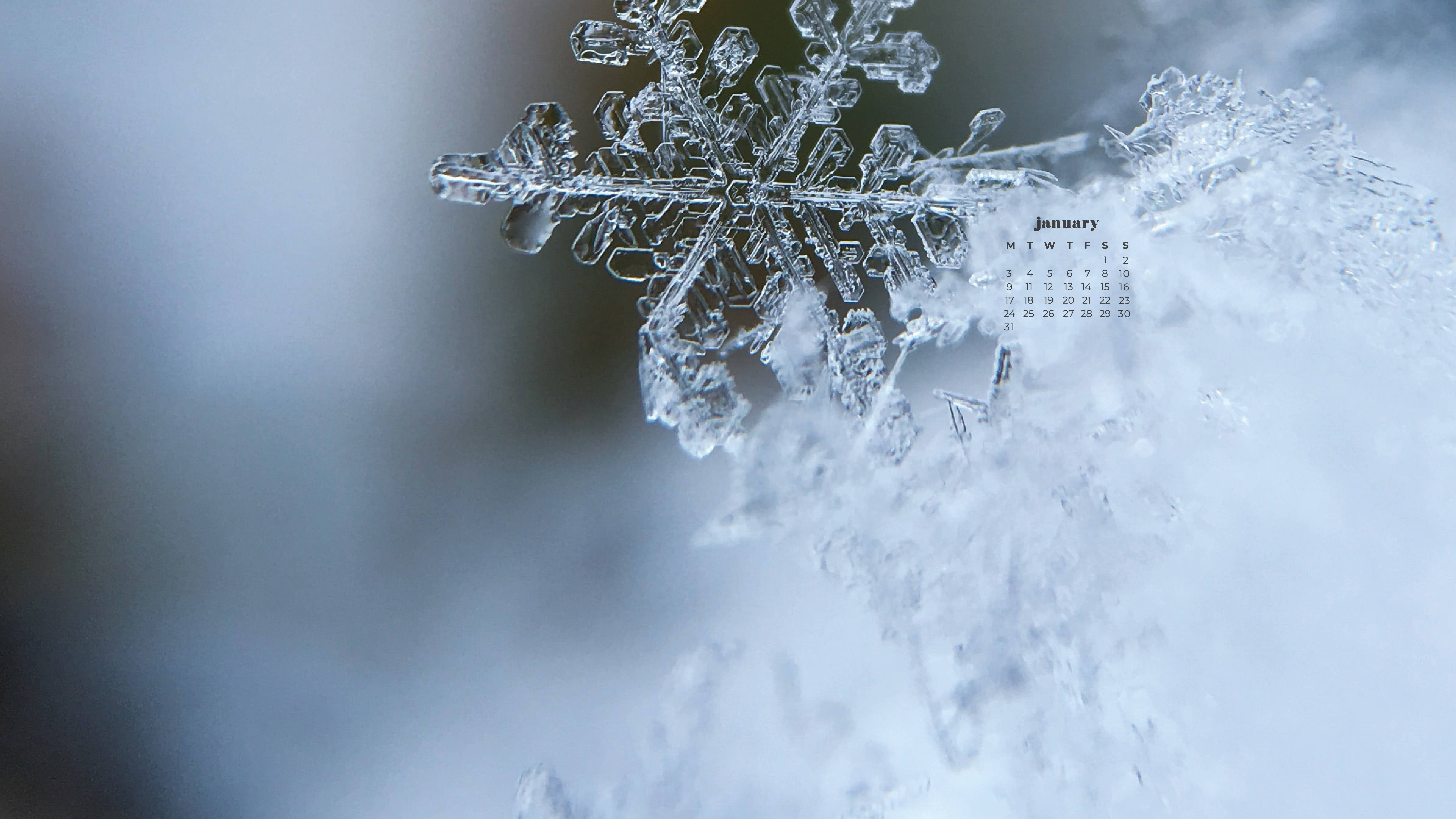 雪花 桌布 壁紙 — 一張令人驚嘆的微距照片，展現精緻複雜的雪花落在雪地上，並疊加了一月日曆。