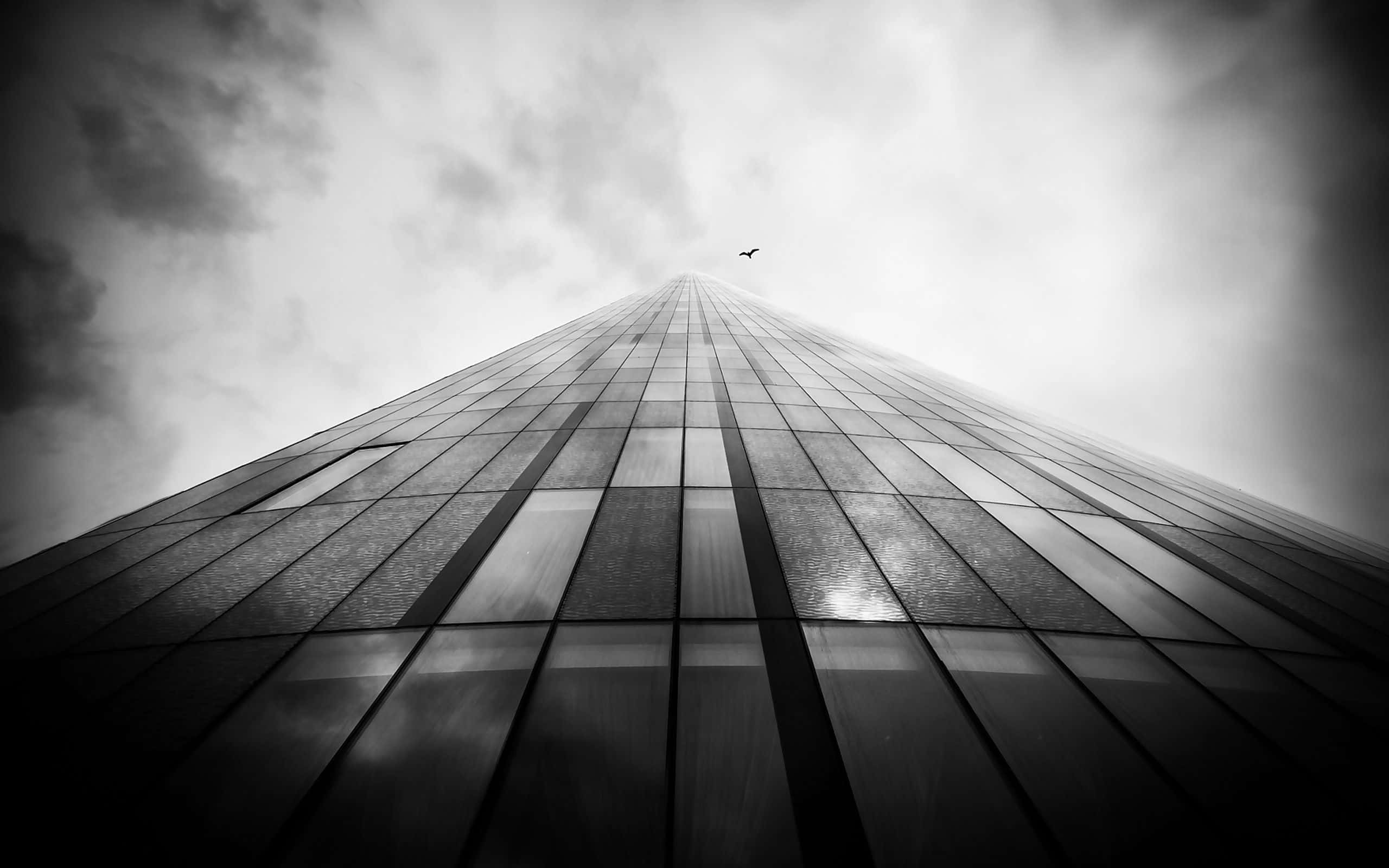 Black And White Architecture 桌布 壁紙 — 一張低角度拍攝的戲劇性黑白照片，展示了一座高聳的玻璃摩天大樓刺穿多雲的天空，上方有一隻孤鳥飛翔。