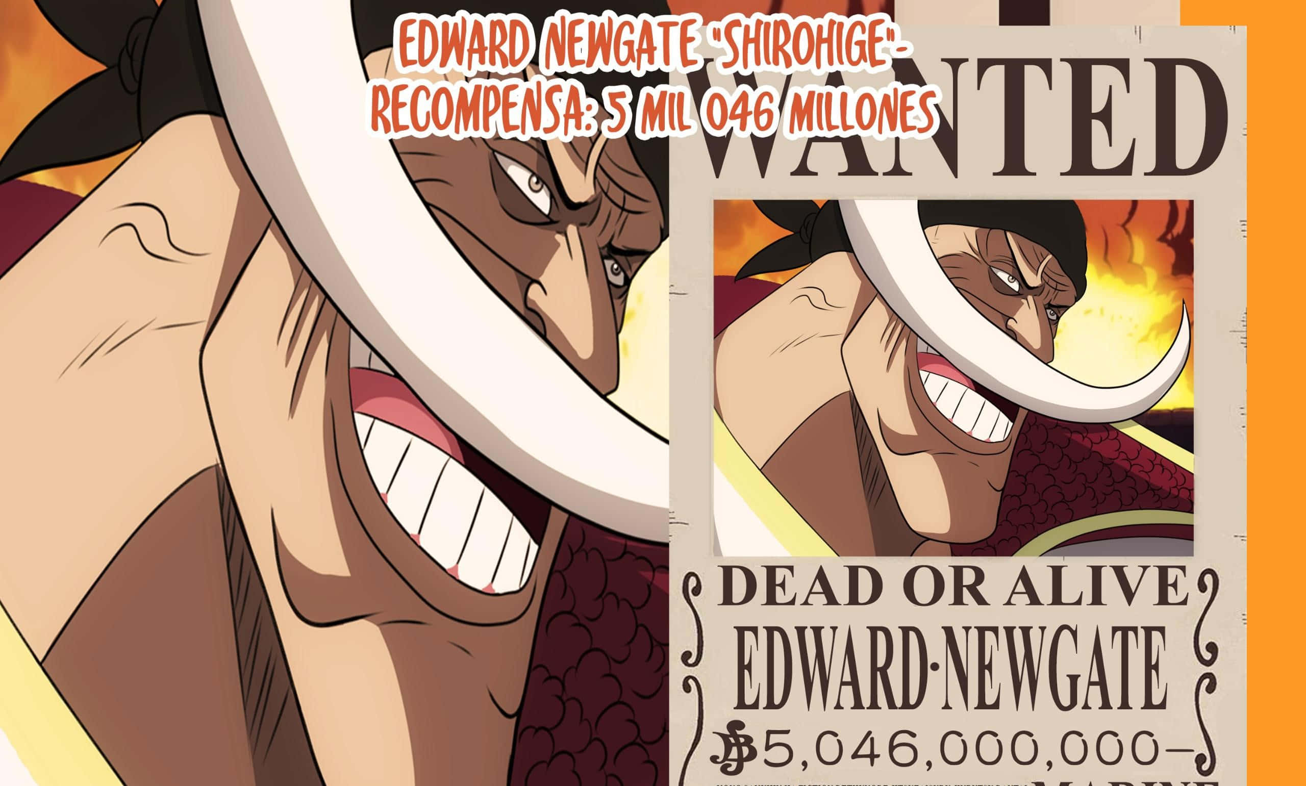 wanted 桌布 壁紙 — 一張來自《ONE PIECE》的艾德華·紐蓋特·白鬍子懸賞海報，展示他兇猛的笑容和賞金詳情。