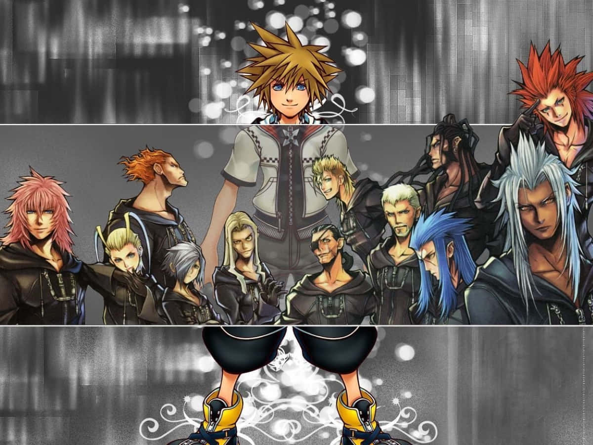 Kingdom Hearts Organization 13 桌布 壁紙 — 一張充滿活力的動漫壁紙，展示一群不同角色，擁有色彩繽紛的尖刺頭髮和動態姿勢，背景是帶有發光散景效果的風格化灰色背景。