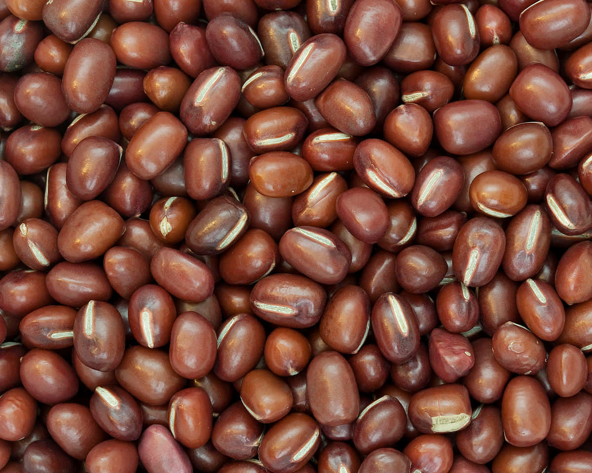 Red Beans 桌布 壁紙 — 一張光澤紅褐色豆類的特寫照片，帶有奶油白色的種臍密集散佈。
