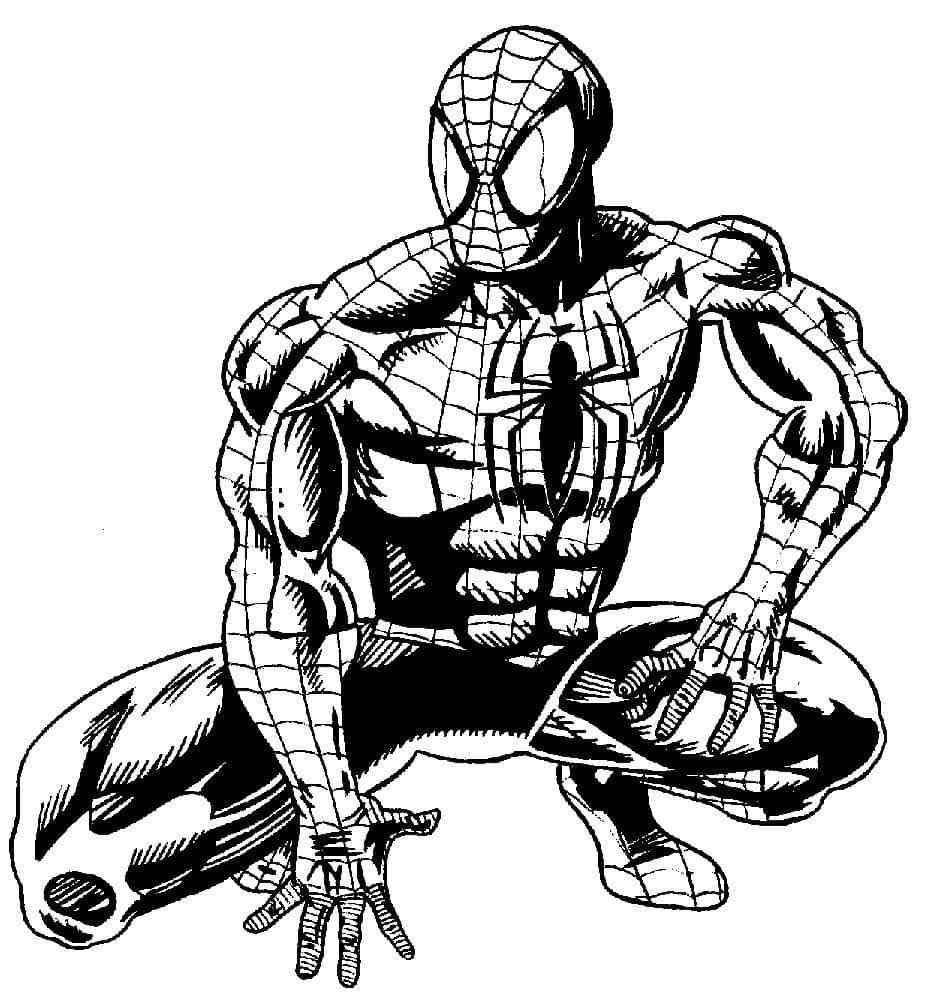 Black And White Drawing 桌布 壁紙 — 一張動態的黑白漫畫風格插圖，蜘蛛俠以準備姿勢蹲伏，帶有詳細的蛛網圖案和粗線條。