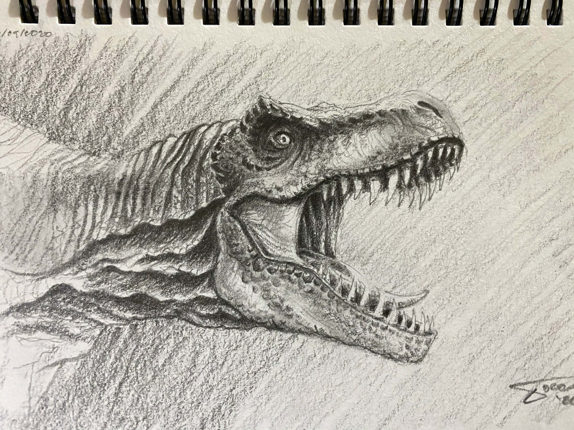 一張卡通風格的恐龍畫作 壁紙 — 螺旋裝訂素描本中咆哮的暴龍頭部詳細鉛筆素描。