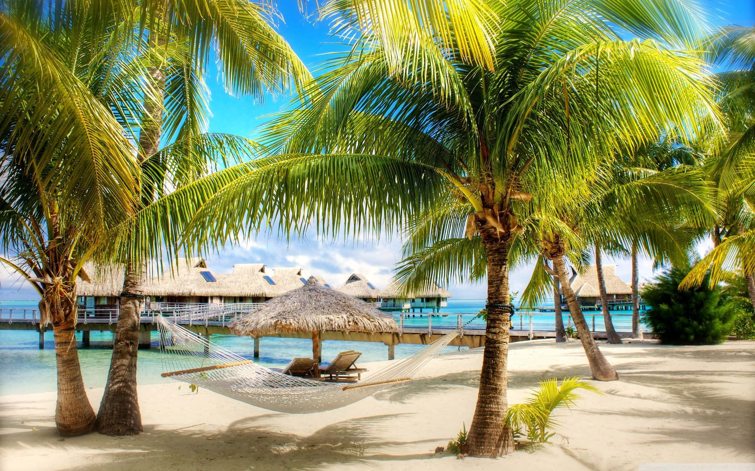 Tropical Beach 桌布 壁紙 — 一張吊床在棕櫚樹之間搖曳，下方是純淨的白色沙灘、碧綠的海水和水上平房，頭頂是明亮的藍天。