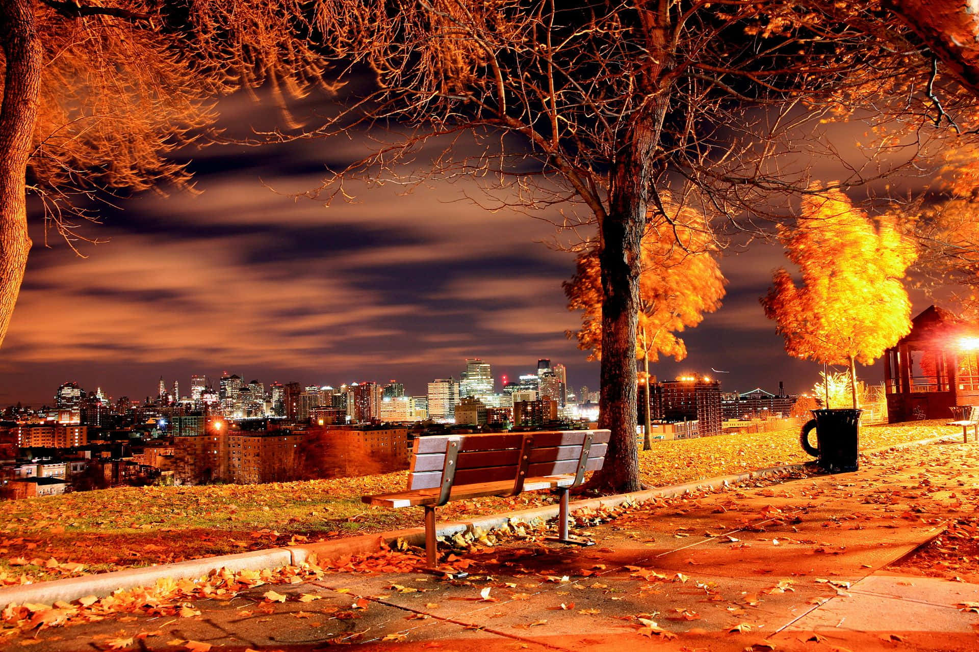 Autumn Evening 桌布 壁紙 — 一張孤獨的長椅俯瞰著夜晚閃爍的城市天際線，下方是帶有金色秋葉的禿樹。