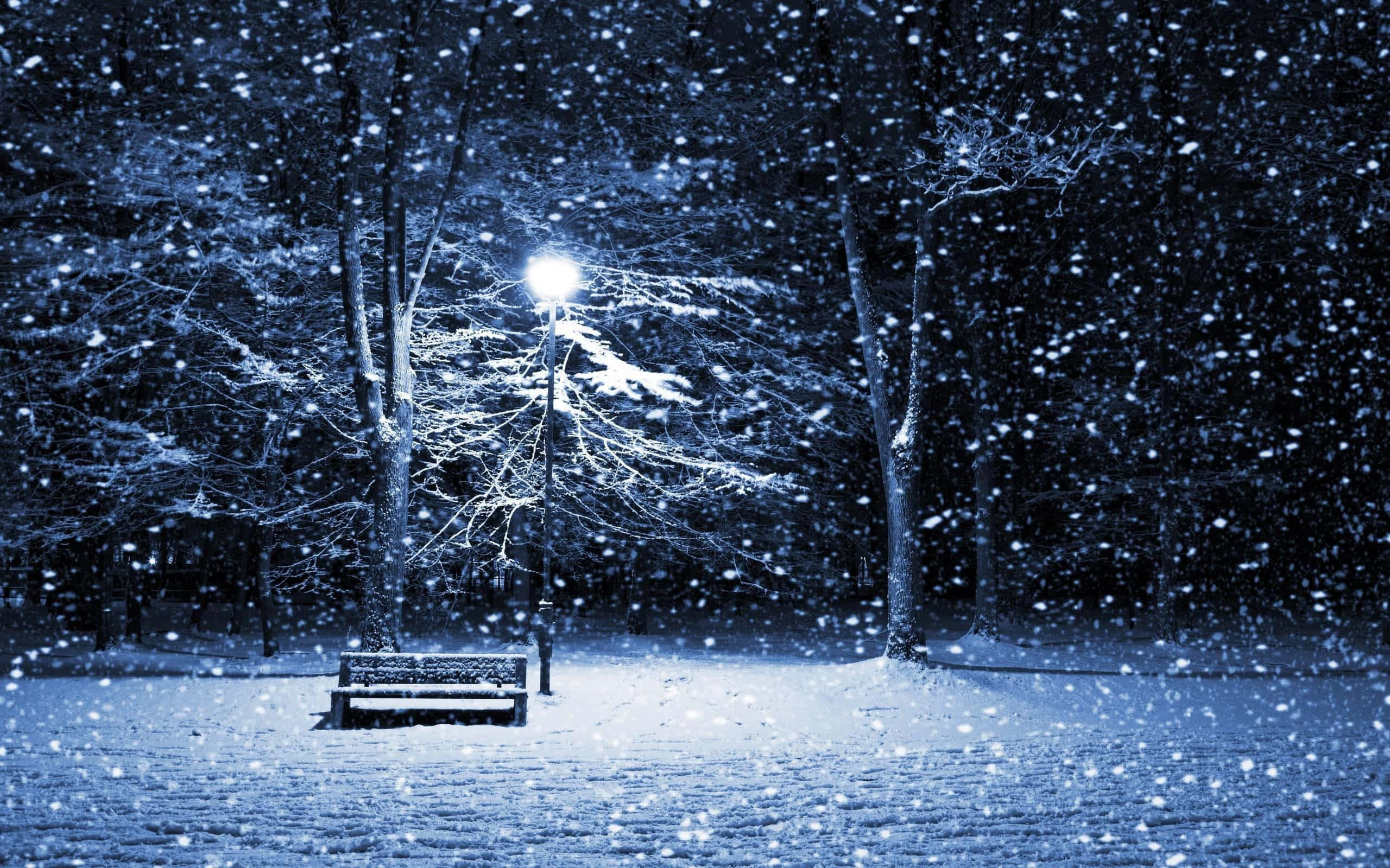 winter solstice 桌布 壁紙 — 一張孤獨的雪覆蓋長椅在街燈下發光，雪花在寧靜的冬夜公園中紛飛。