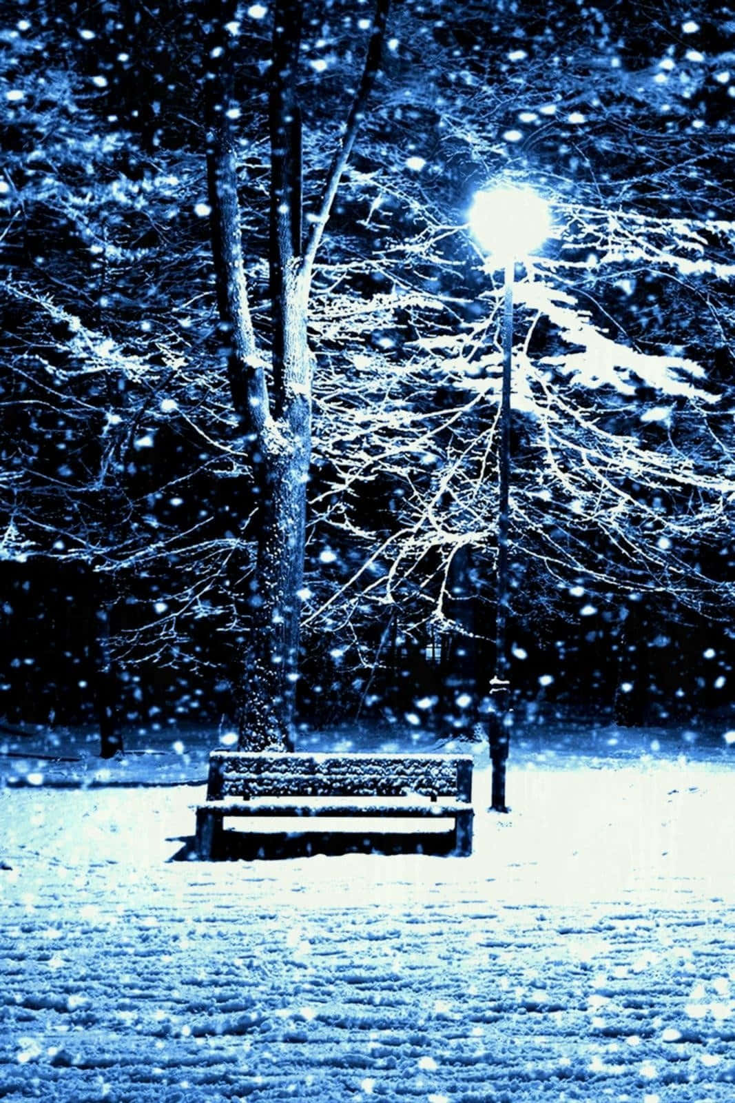 Cute Winter Aesthetic 桌布 壁紙 — 一張孤獨的雪覆蓋長椅在街燈下發光，周圍是飄落的雪花和光禿的冬季樹木。