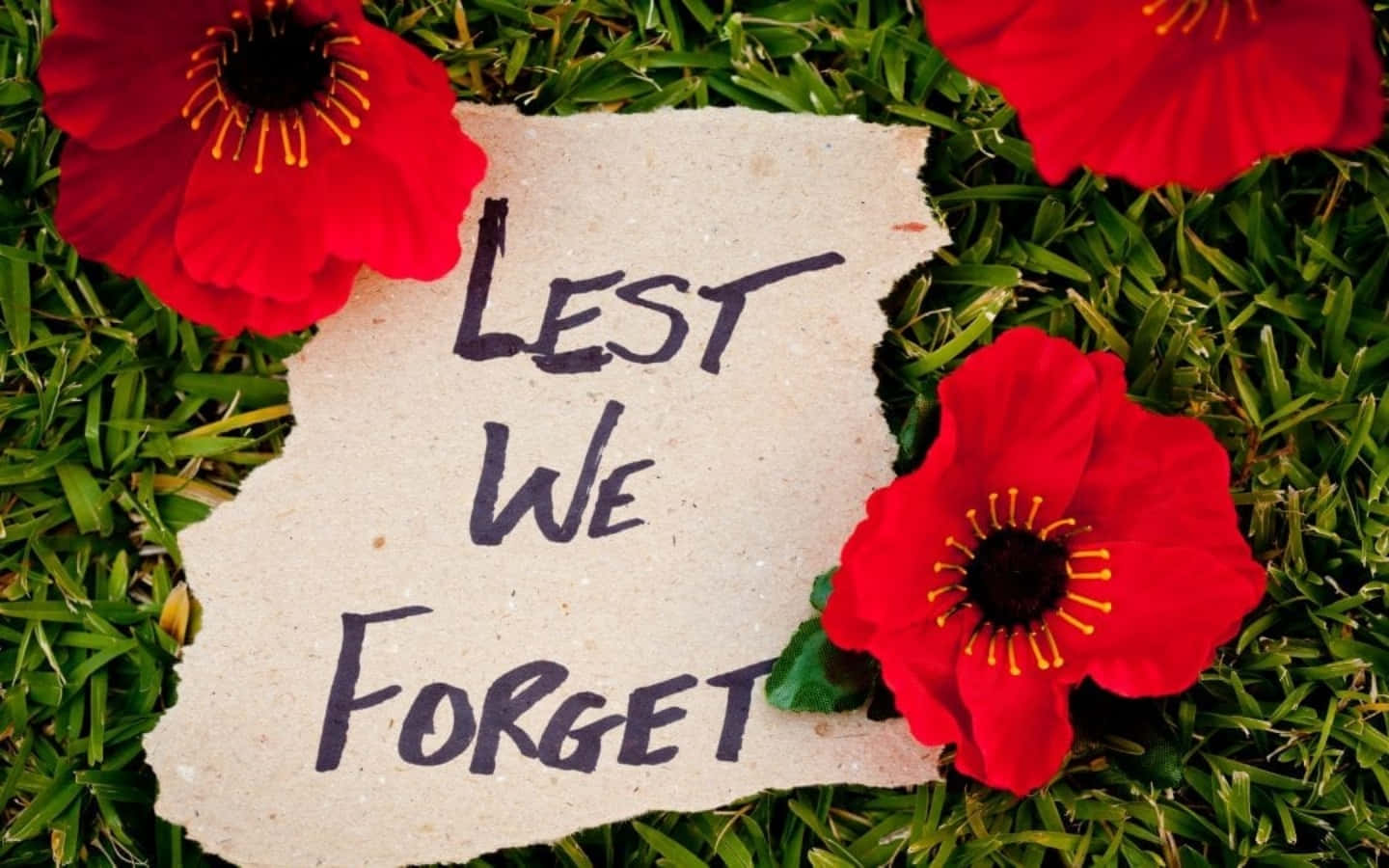 陣亡將士紀念日 桌布 壁紙 — 一張寫有「LEST WE FORGET」的破爛紙張躺在綠草上，周圍環繞著鮮紅的罌粟花。