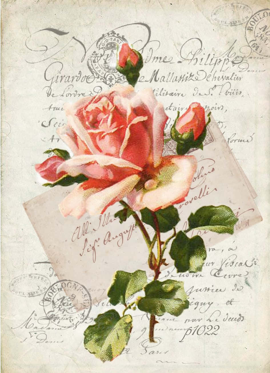 Vintage Rose 桌布 壁紙 — 一張復古明信片，上面有一朵精緻的粉紅玫瑰和綠葉，襯著舊紙張，上面有手寫草書和法國郵票。