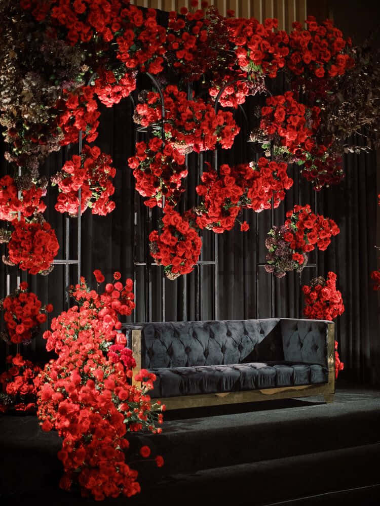 Roses Wedding 桌布 壁紙 — 一張柔軟的深色梳化位於黑色背景下，上方懸掛著奢華的鮮紅玫瑰瀑布。