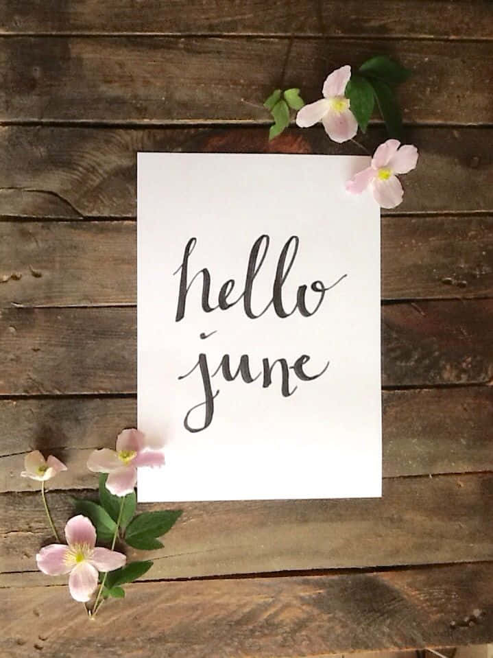 Hello 桌布 壁紙 — 一張白色卡片，上面有黑色草書文字寫著 hello june，放在風化的木頭上，裝飾著精緻的粉紅色花朵和綠色葉子。