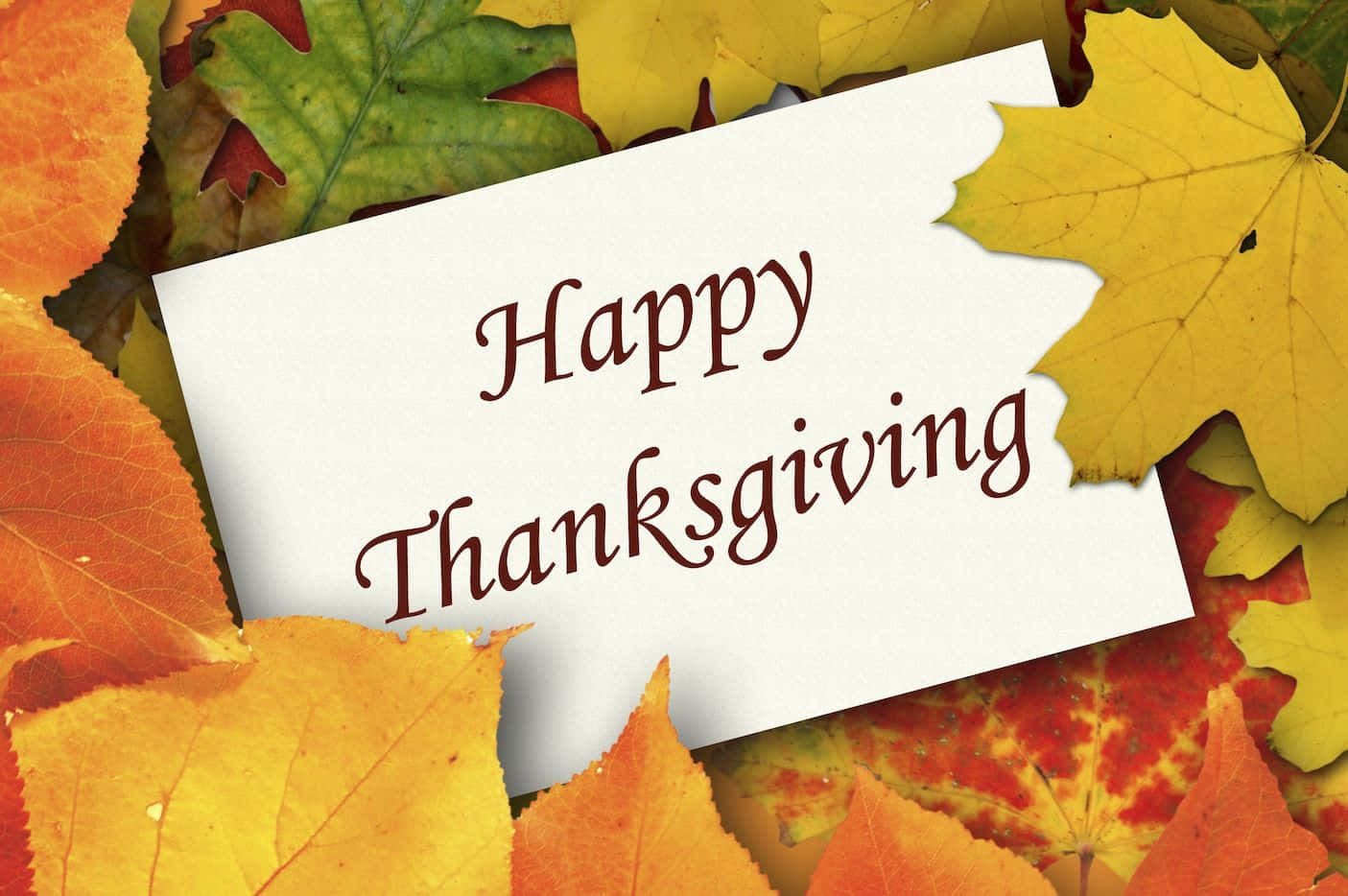 Happy Thanksgiving 桌布 壁紙 — 一張白色卡片，上面用棕色草書寫著「Happy Thanksgiving」，放在充滿活力的橙色、黃色和紅色秋葉之間。