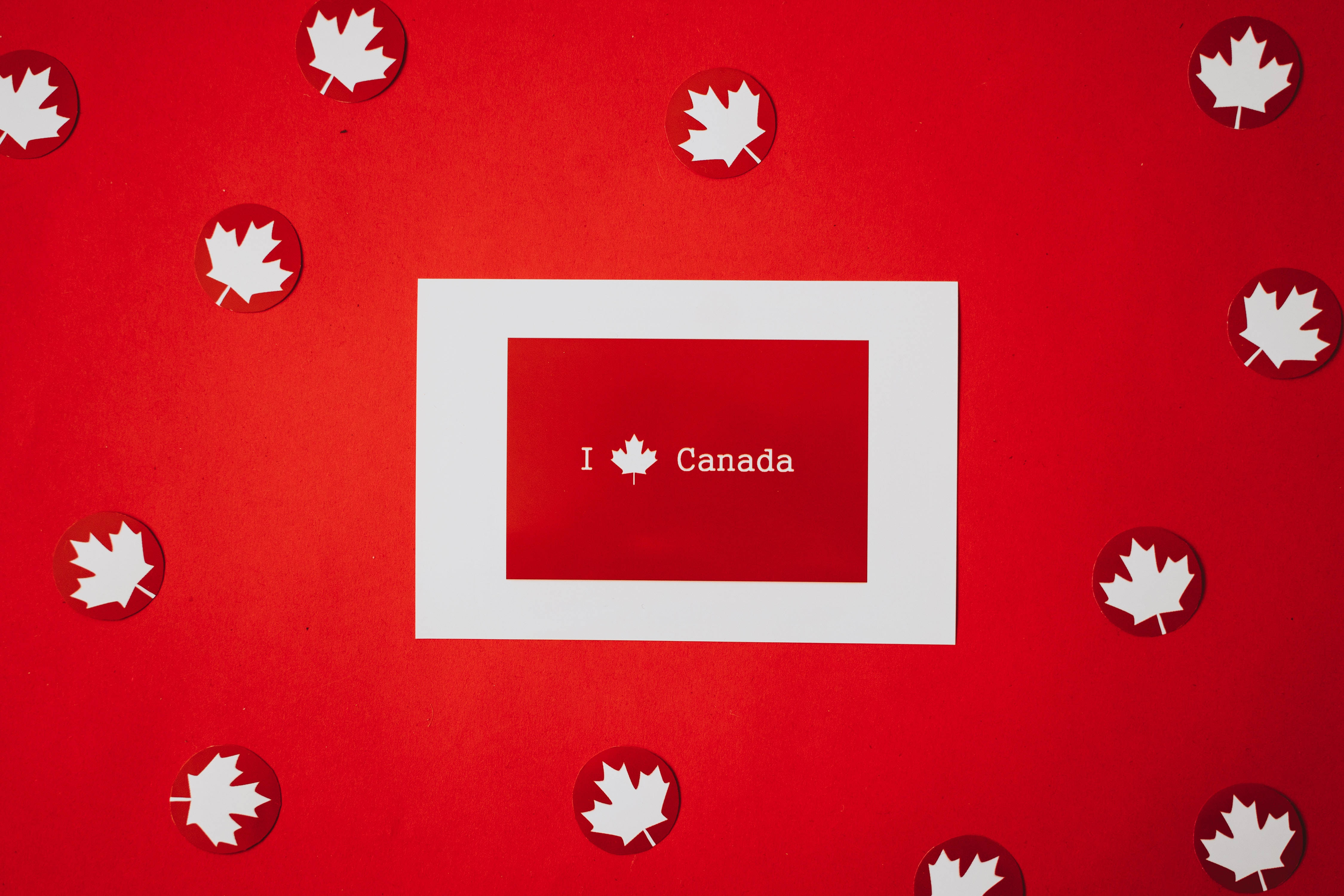 Quote 桌布 壁紙 — 一張白色邊框的卡片，上面寫著「I ❤️ Canada」，放在紅色表面上，周圍環繞著白色楓葉貼紙。